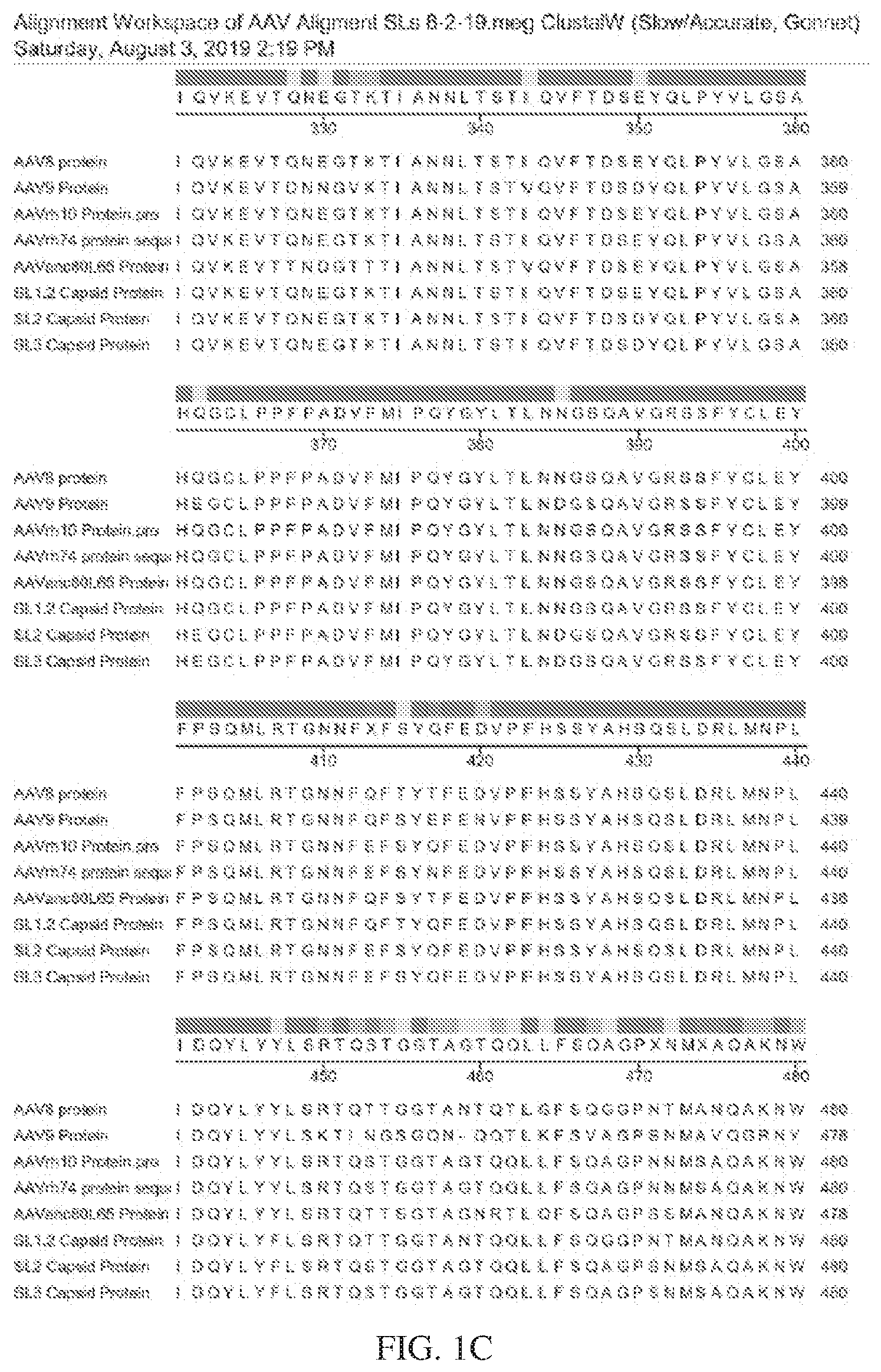 Patent US12612432 Figure 3 – AAV capsid variants for gene therapy