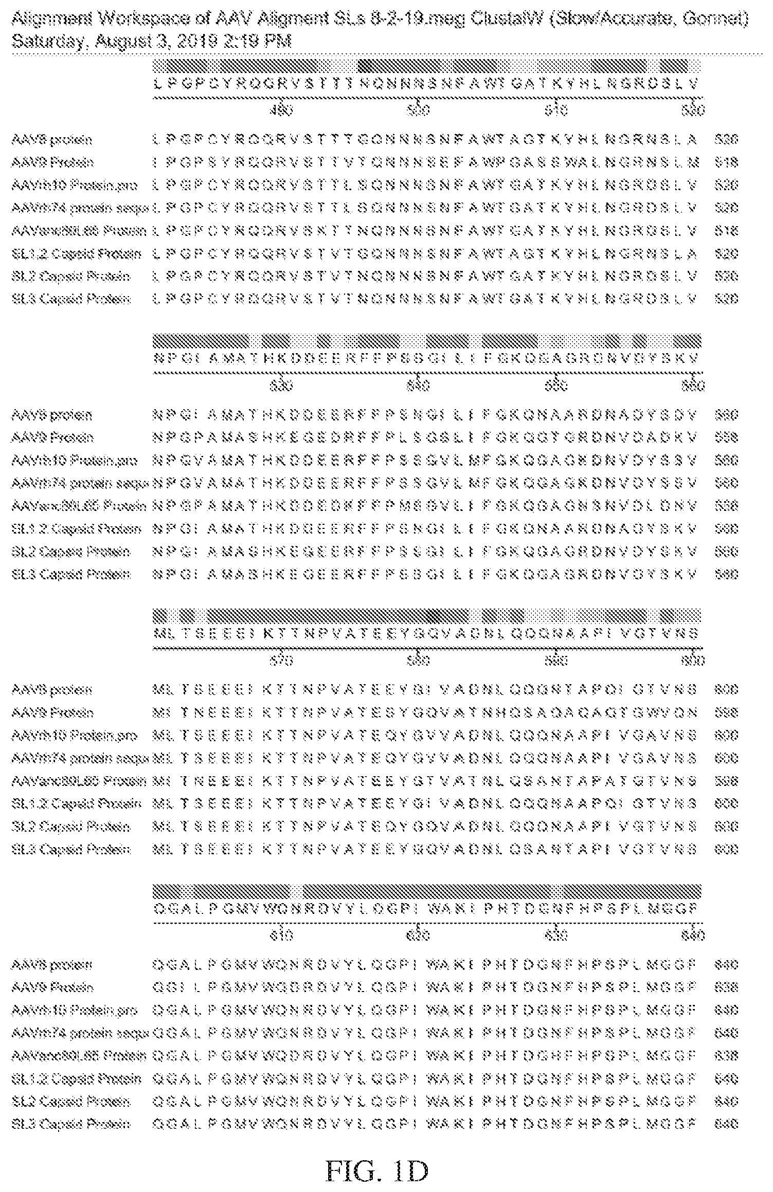 Patent US12612432 Figure 4 – AAV capsid variants for gene therapy