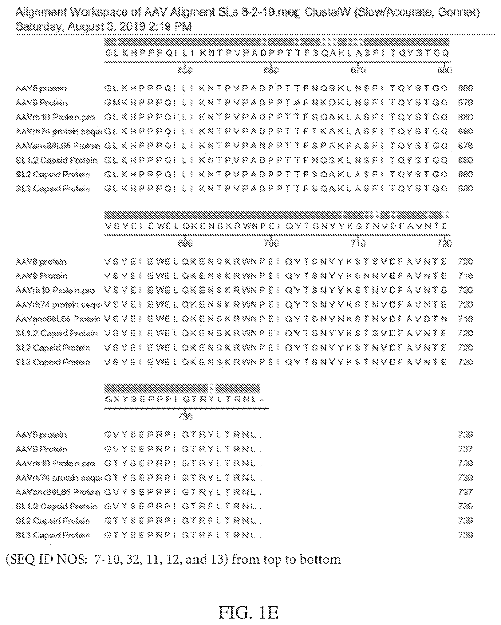 Patent US12612432 Figure 5 – AAV capsid variants for gene therapy