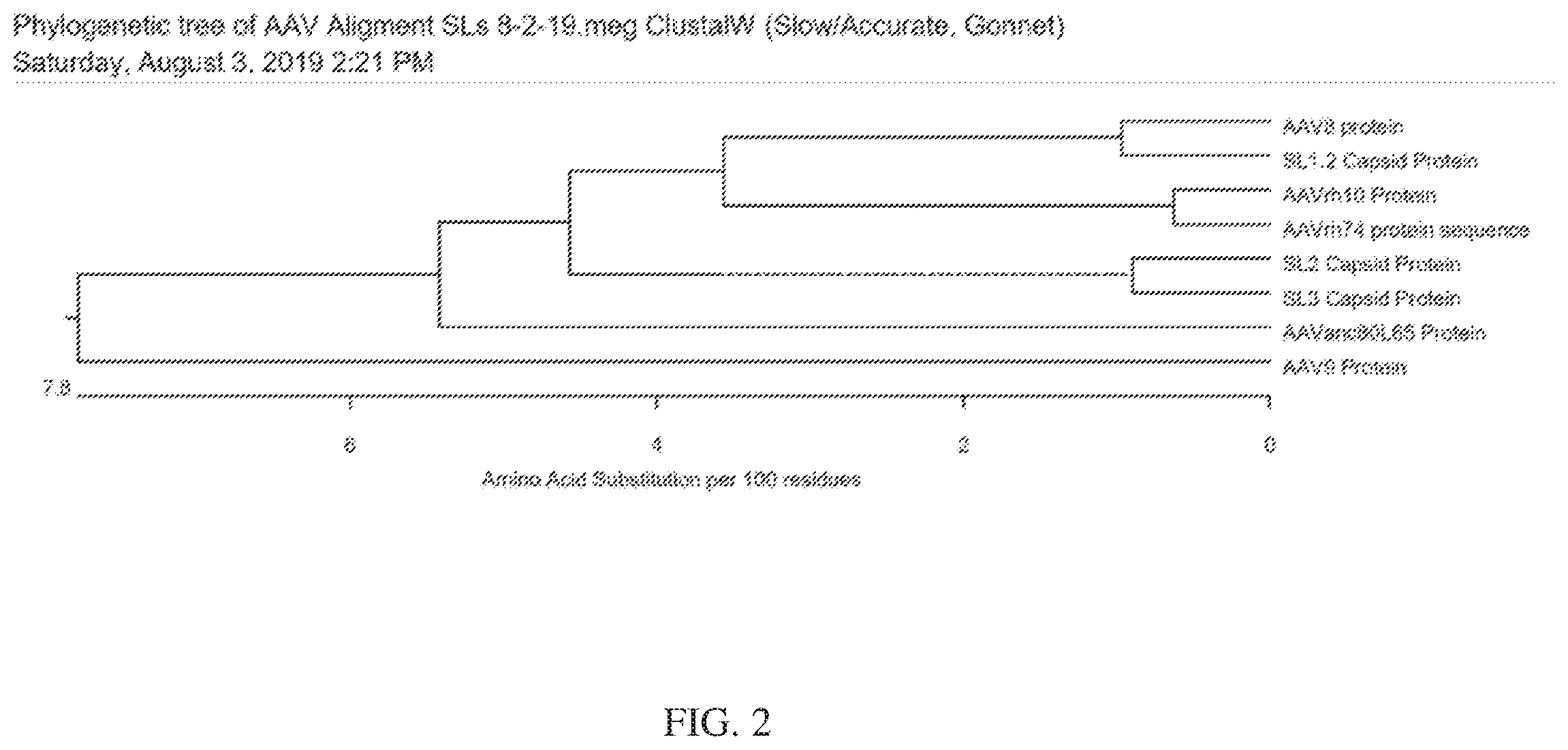 Patent US12612432 Figure 6 – AAV capsid variants for gene therapy
