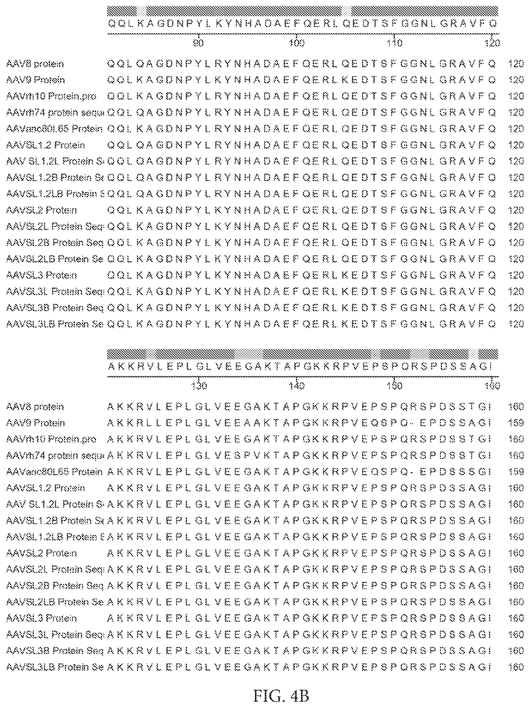 Patent US12612432 Figure 9 – AAV capsid variants for gene therapy