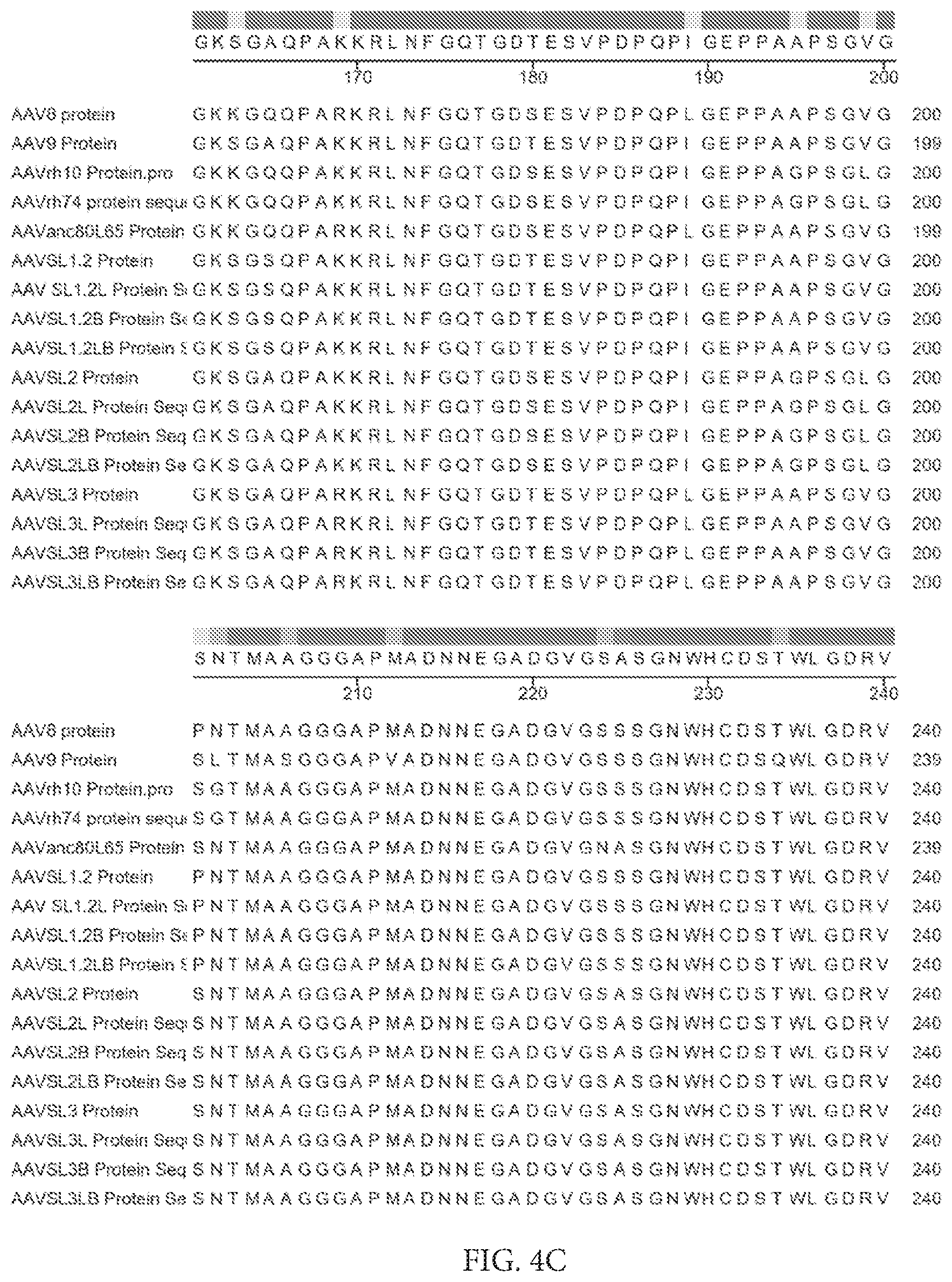 Patent US12612432 Figure 10 – AAV capsid variants for gene therapy