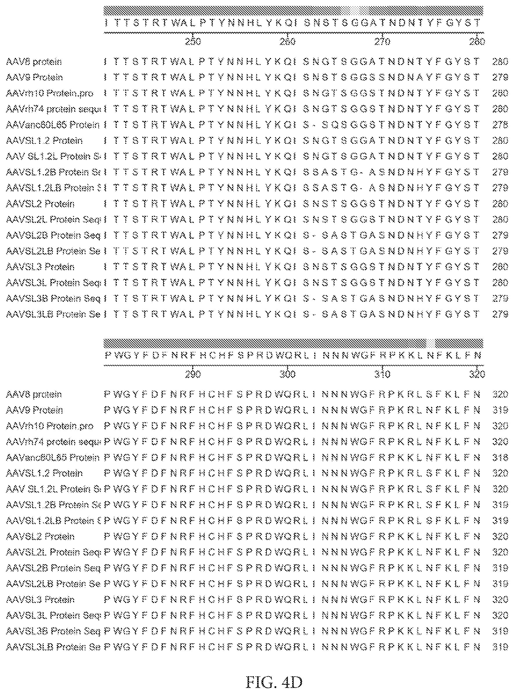 Patent US12612432 Figure 11 – AAV capsid variants for gene therapy