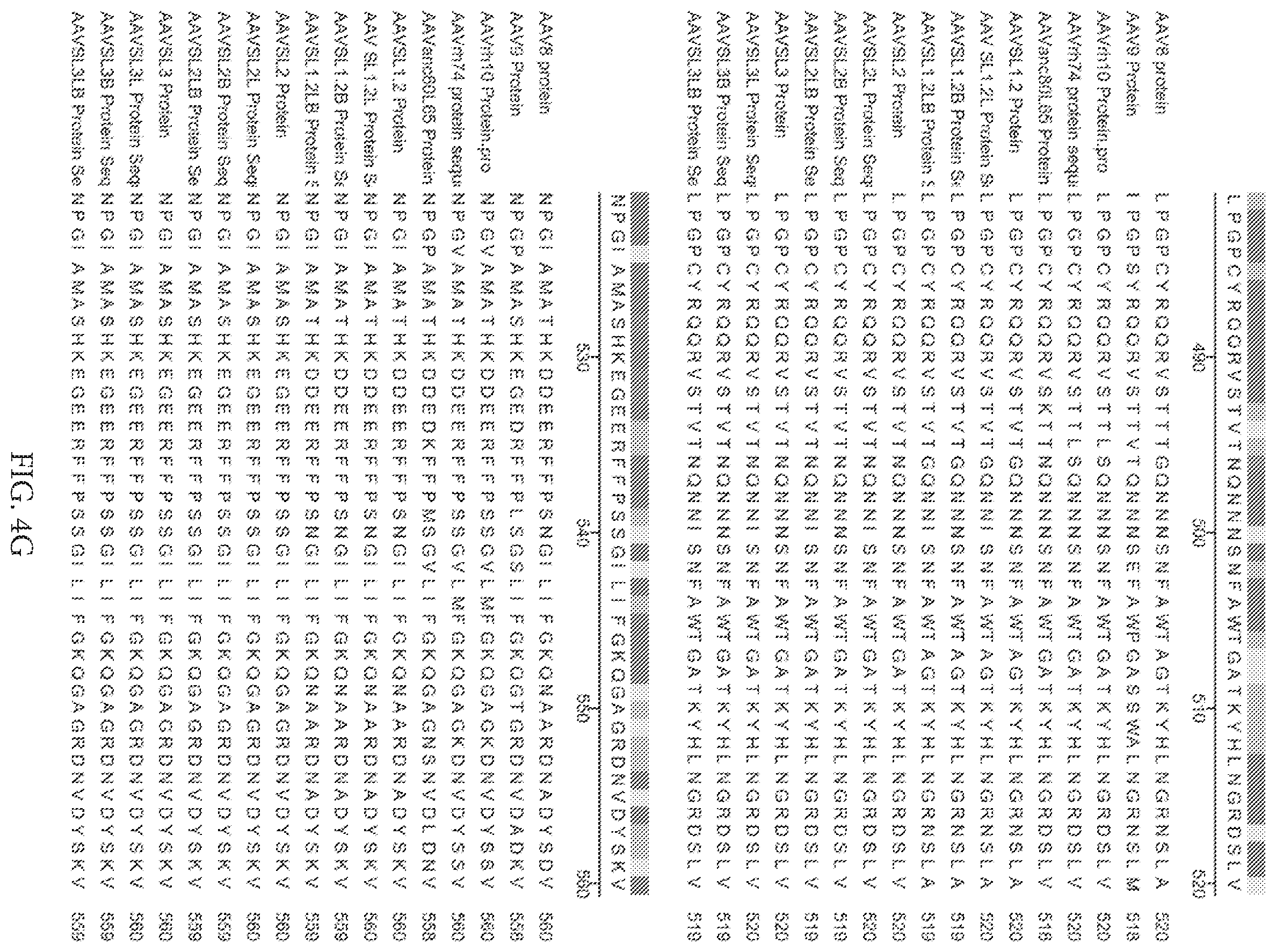 Patent US12612432 Figure 14 – AAV capsid variants for gene therapy
