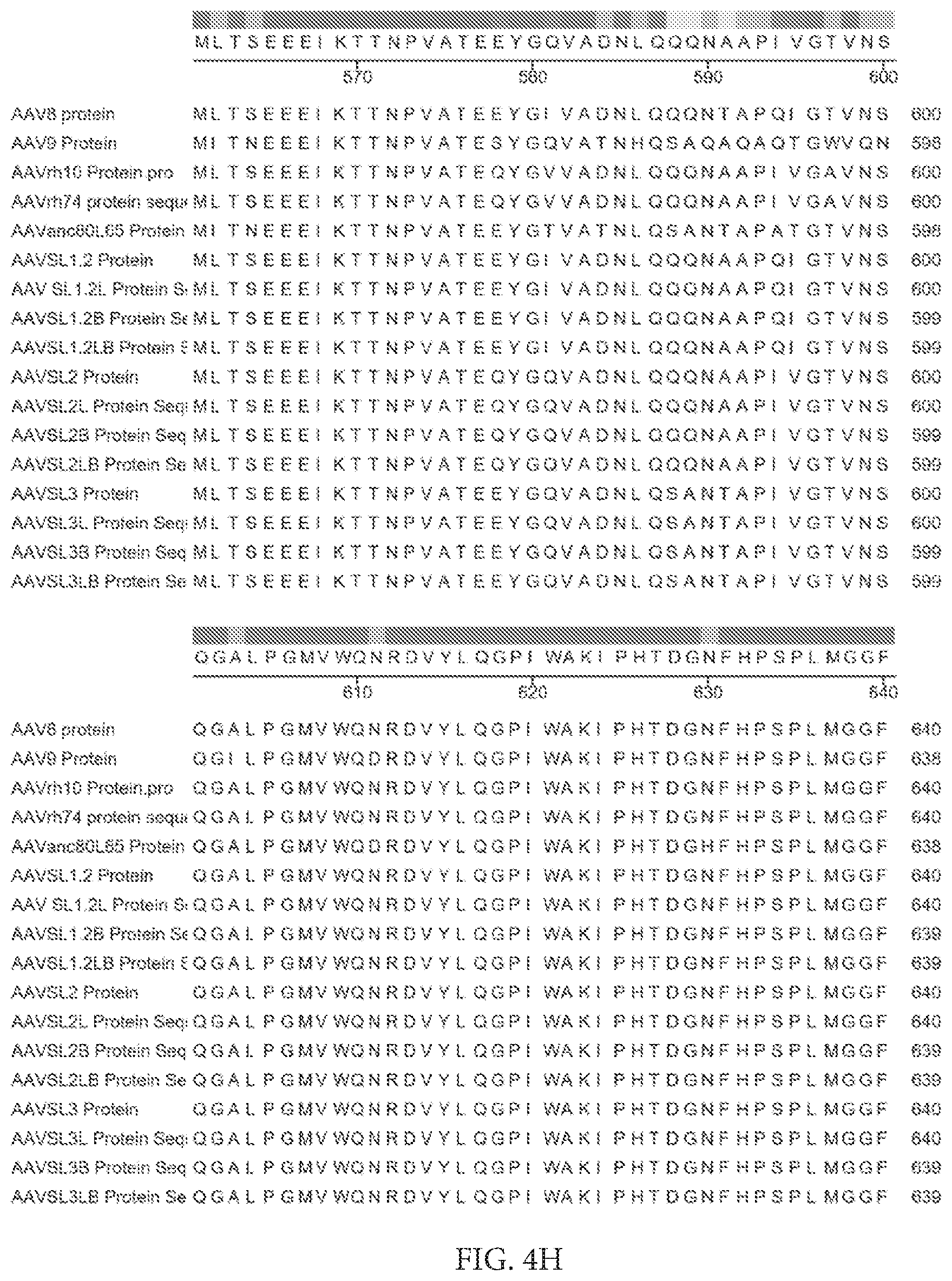 Patent US12612432 Figure 15 – AAV capsid variants for gene therapy