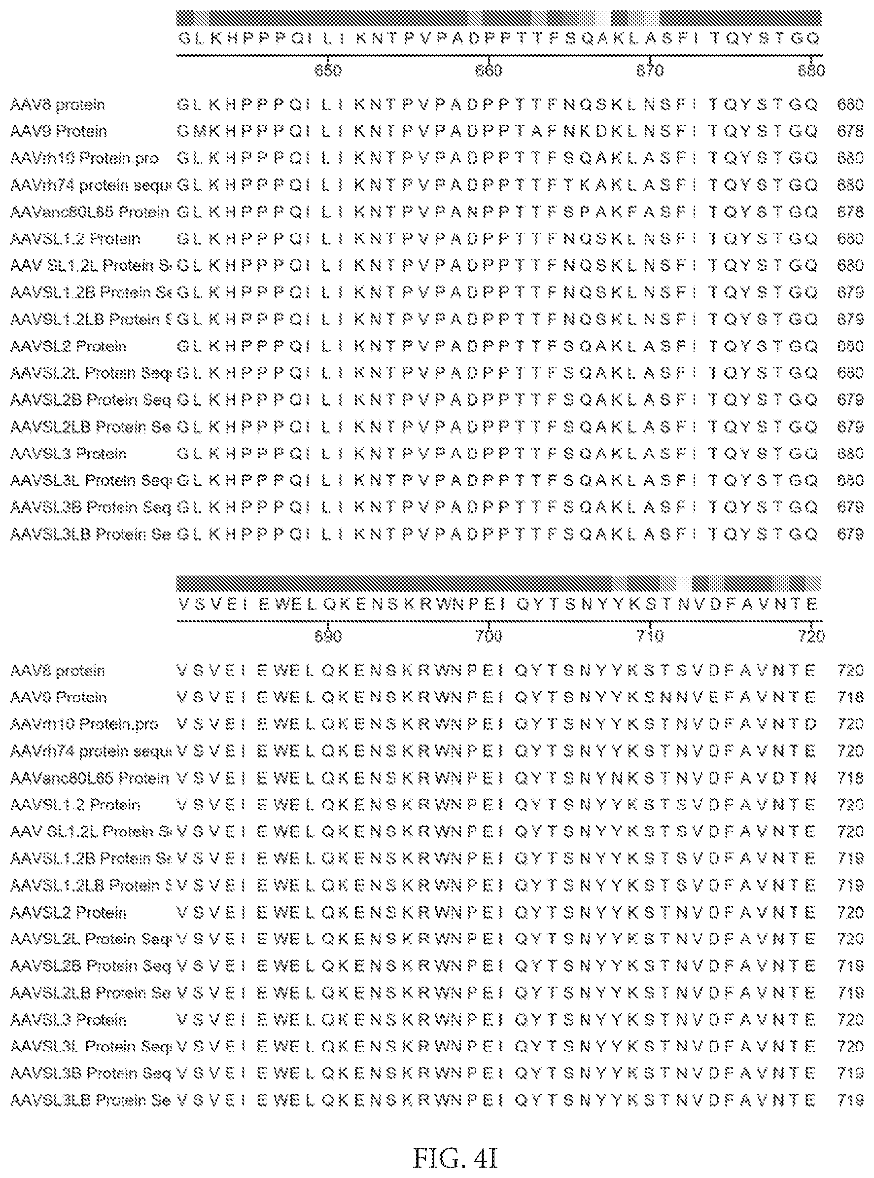 Patent US12612432 Figure 16 – AAV capsid variants for gene therapy