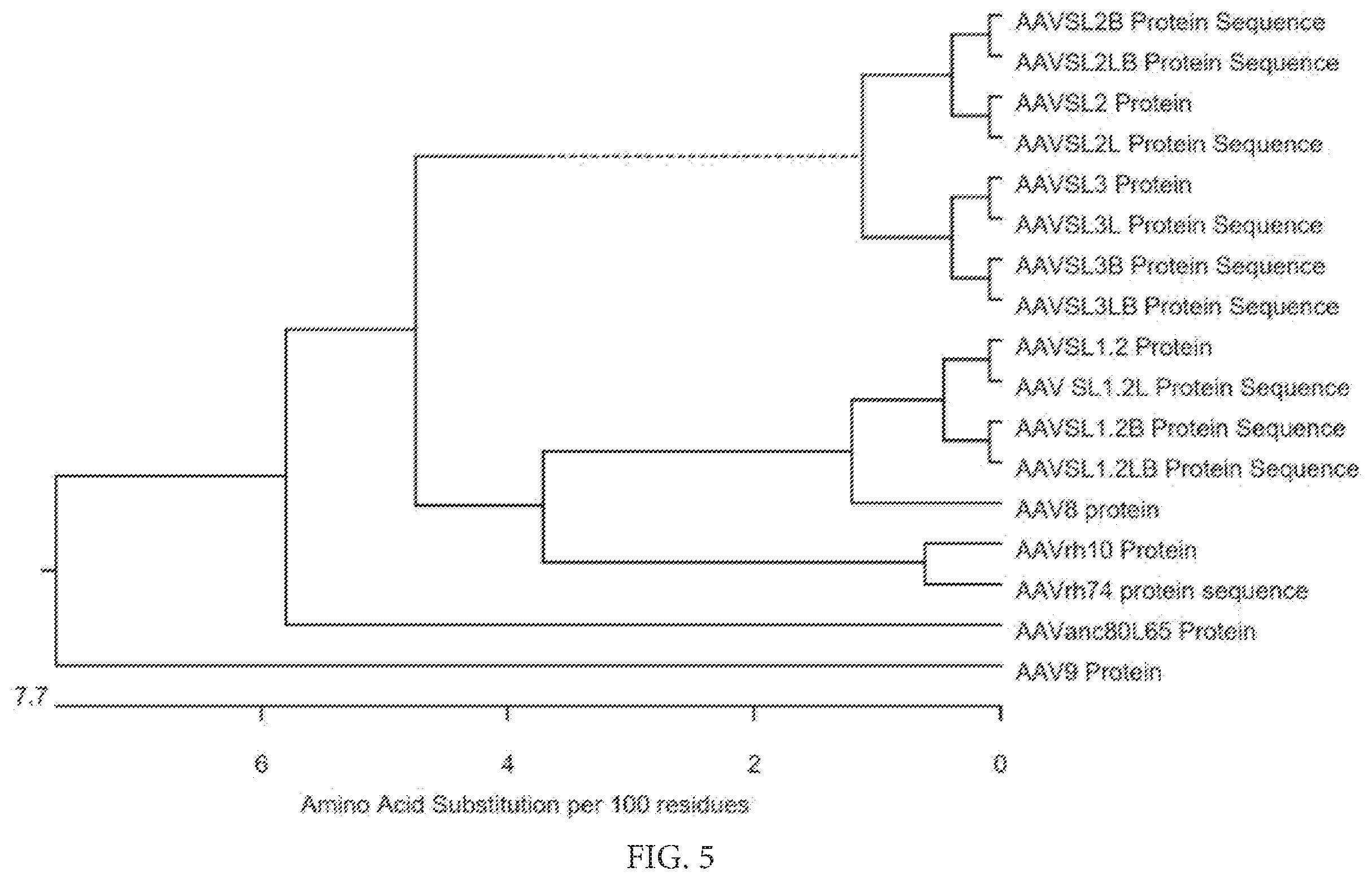 Patent US12612432 Figure 18 – AAV capsid variants for gene therapy