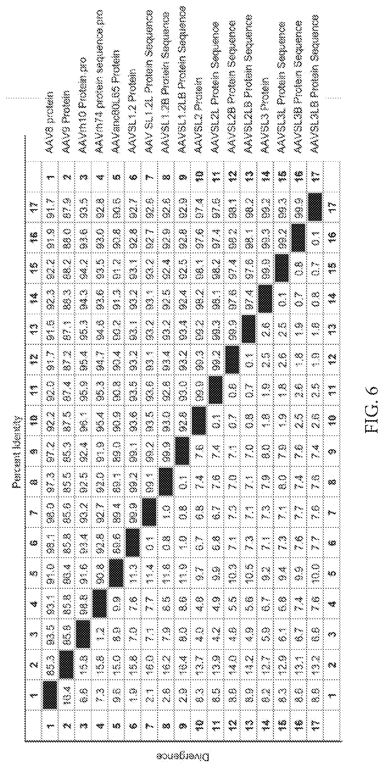 Patent US12612432 Figure 19 – AAV capsid variants for gene therapy