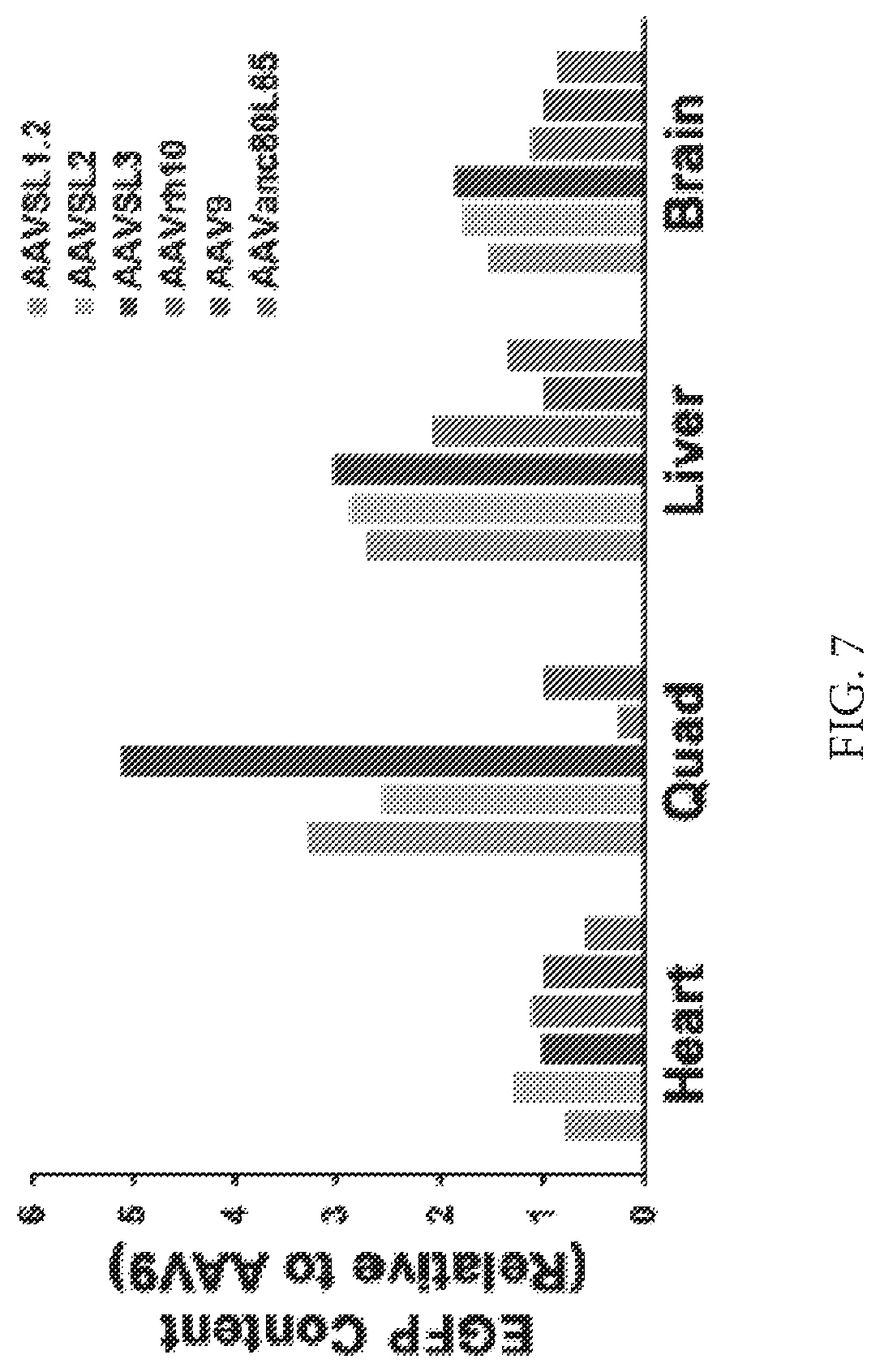 Patent US12612432 Figure 20 – AAV capsid variants for gene therapy