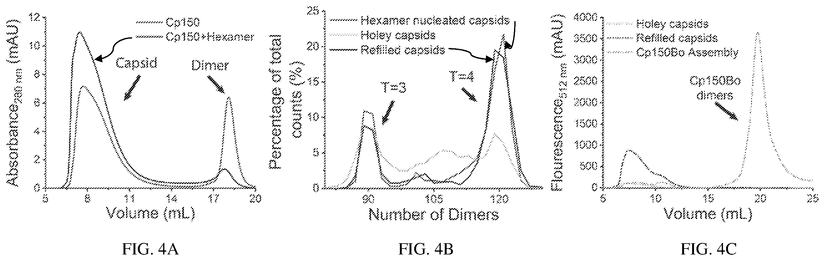 Patent US12612433 Figure 4 – Hepadnavirus capsid protein heterodimers and virus-like particles