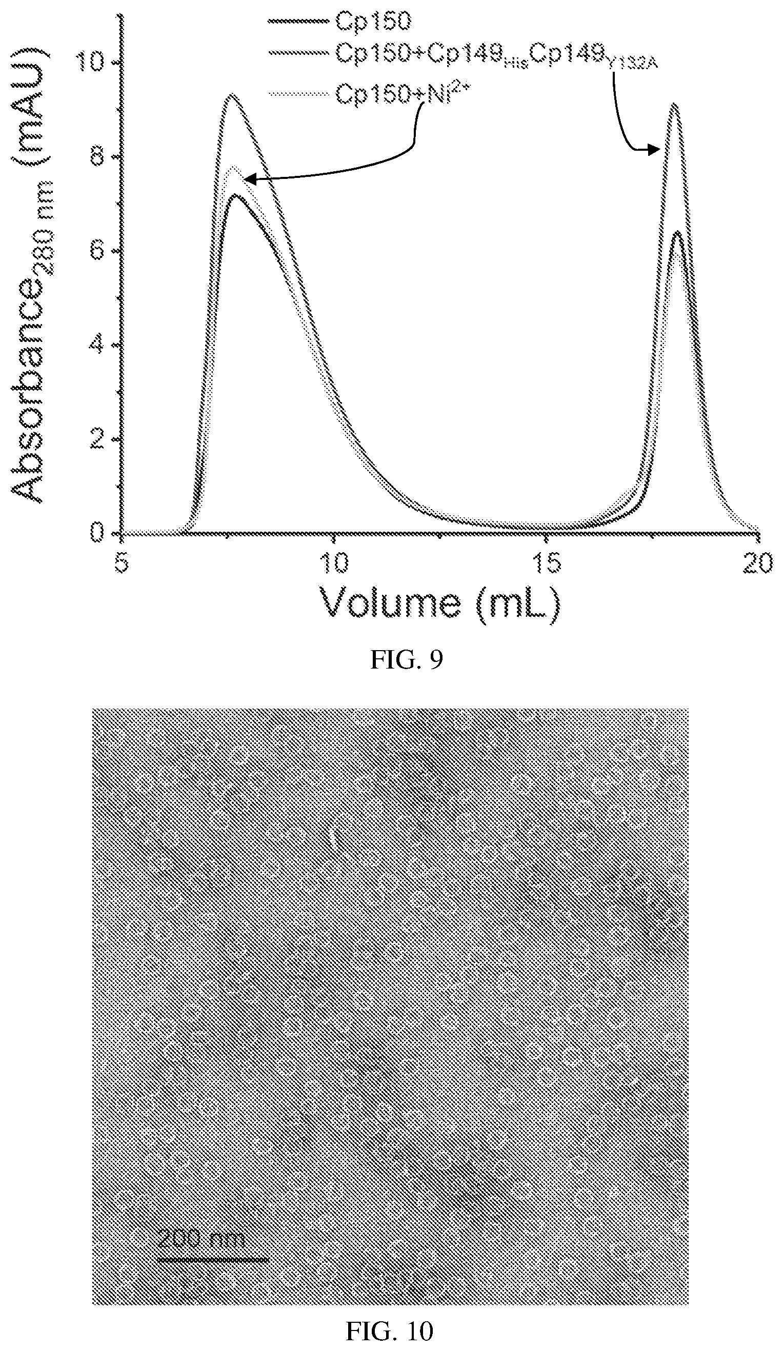 Patent US12612433 Figure 8 – Hepadnavirus capsid protein heterodimers and virus-like particles
