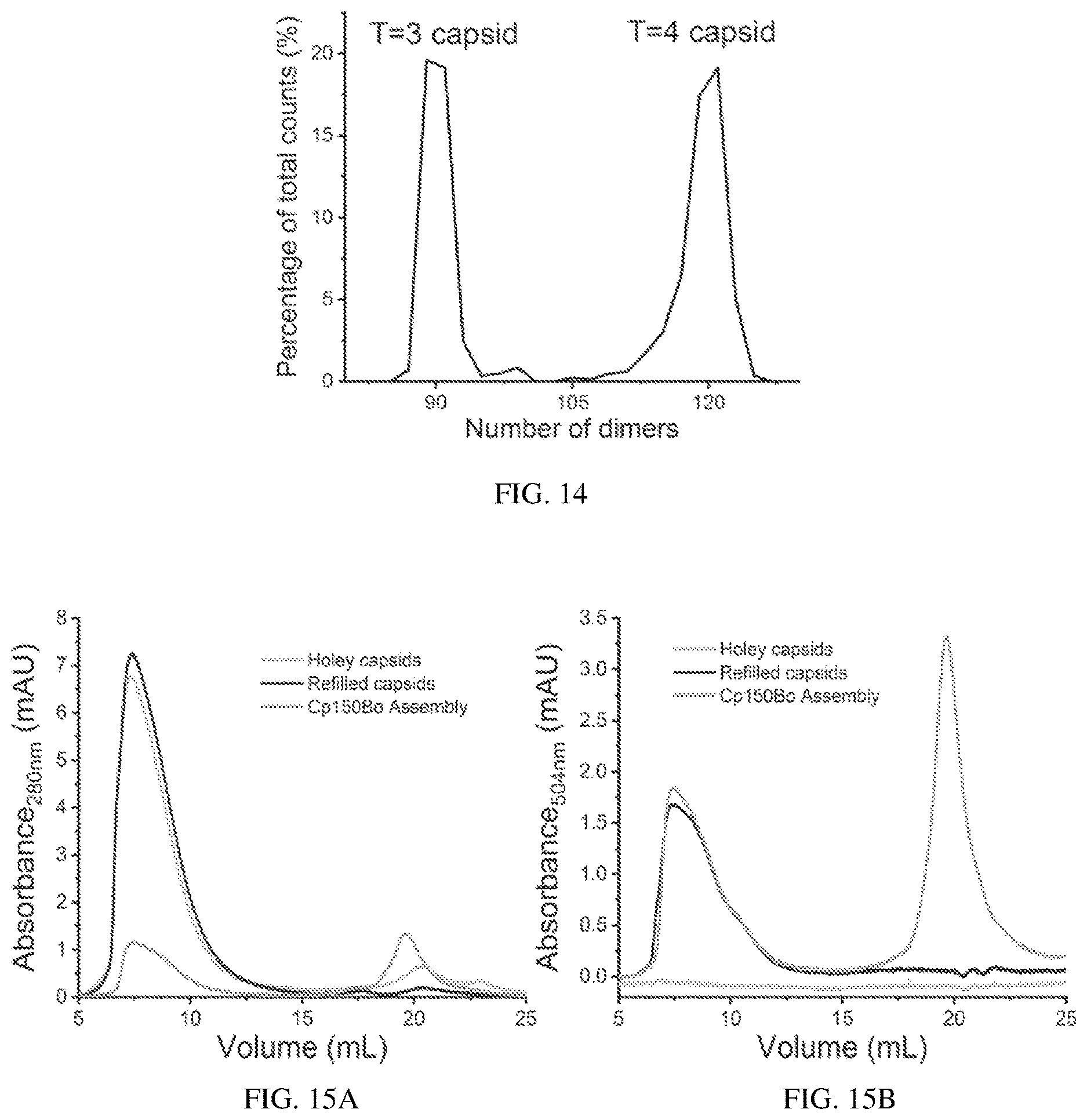 Patent US12612433 Figure 12 – Hepadnavirus capsid protein heterodimers and virus-like particles