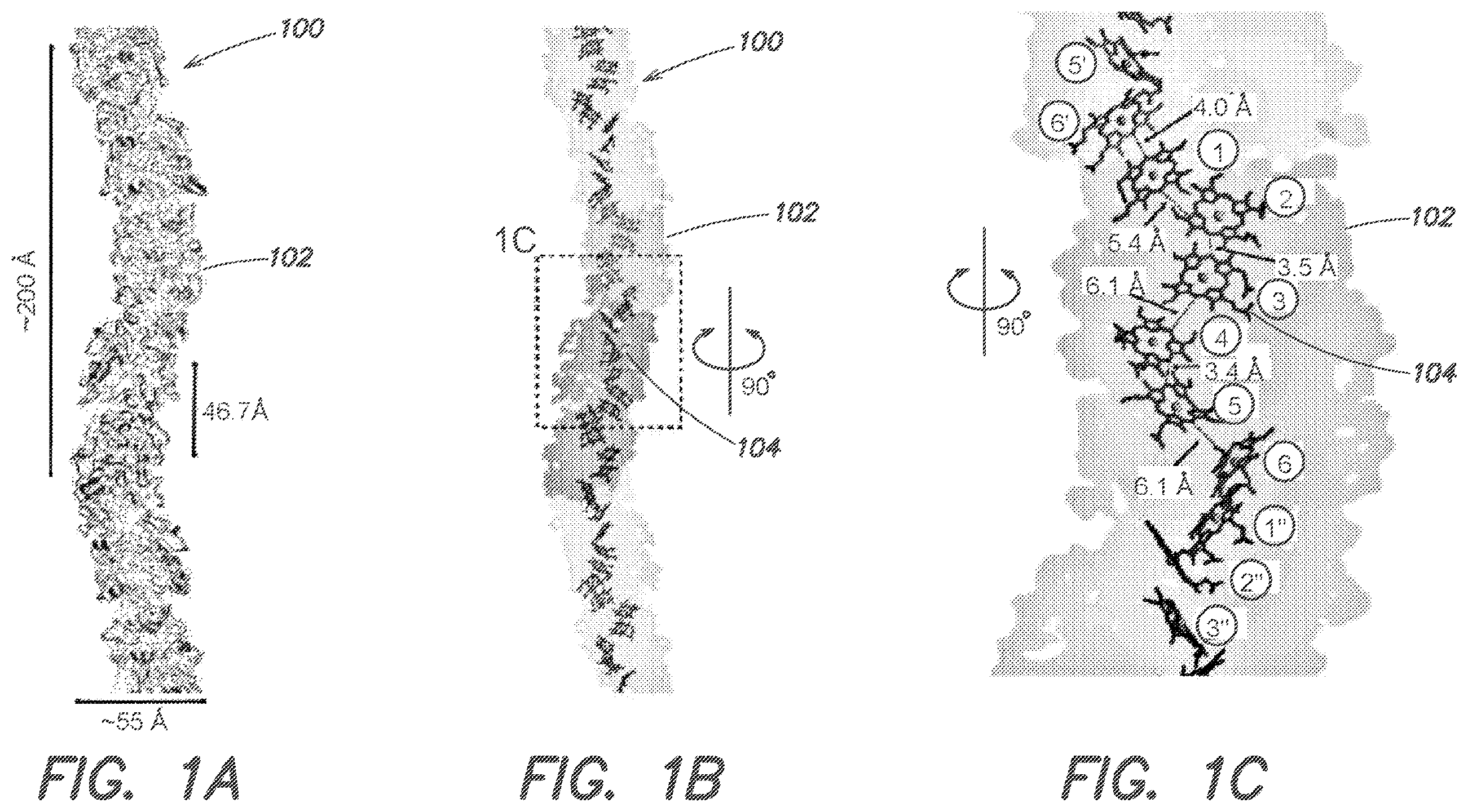 Patent US12612434 Figure 1 – Systems and methods for forming biological nanowires and applications thereof