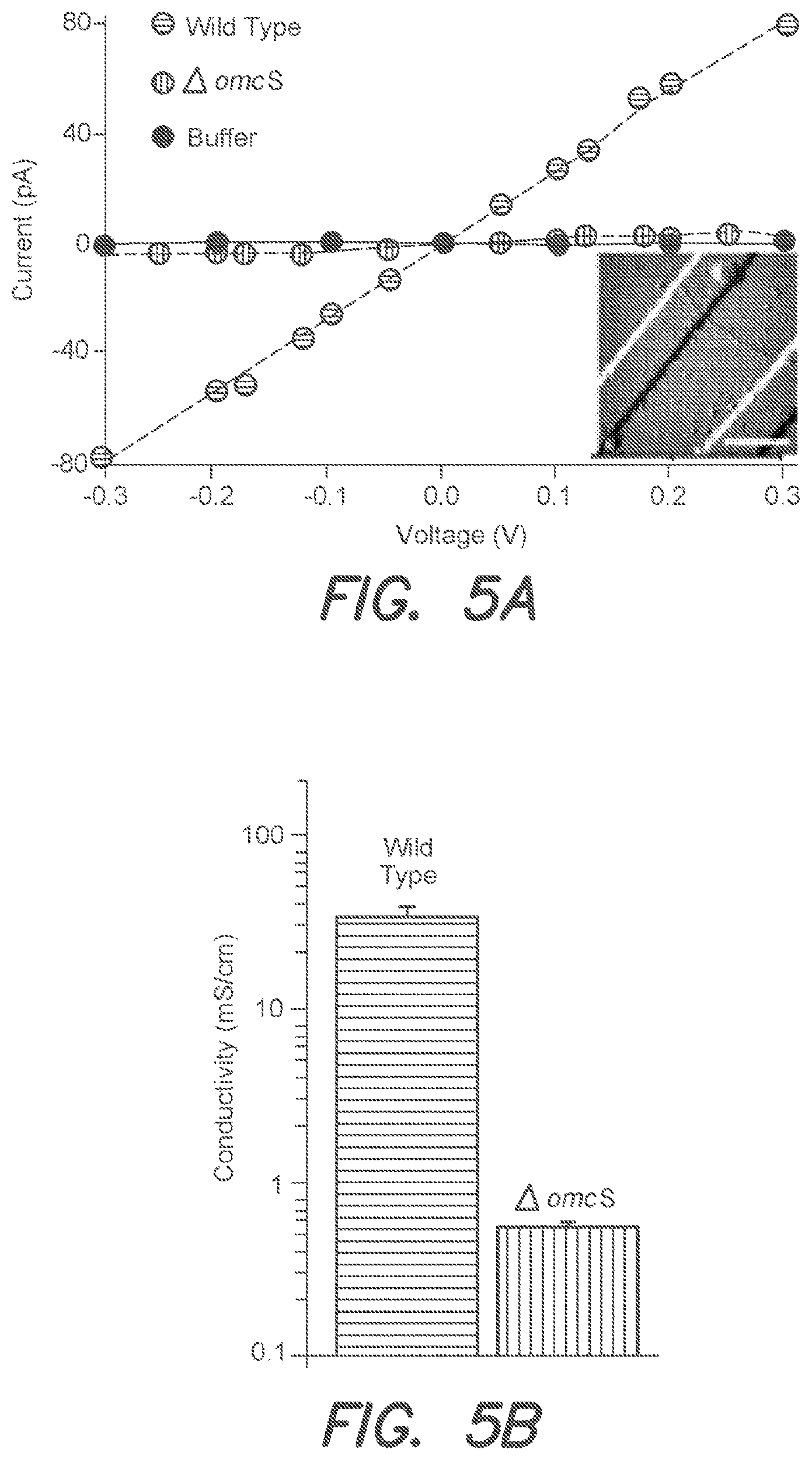Patent US12612434 Figure 5 – Systems and methods for forming biological nanowires and applications thereof
