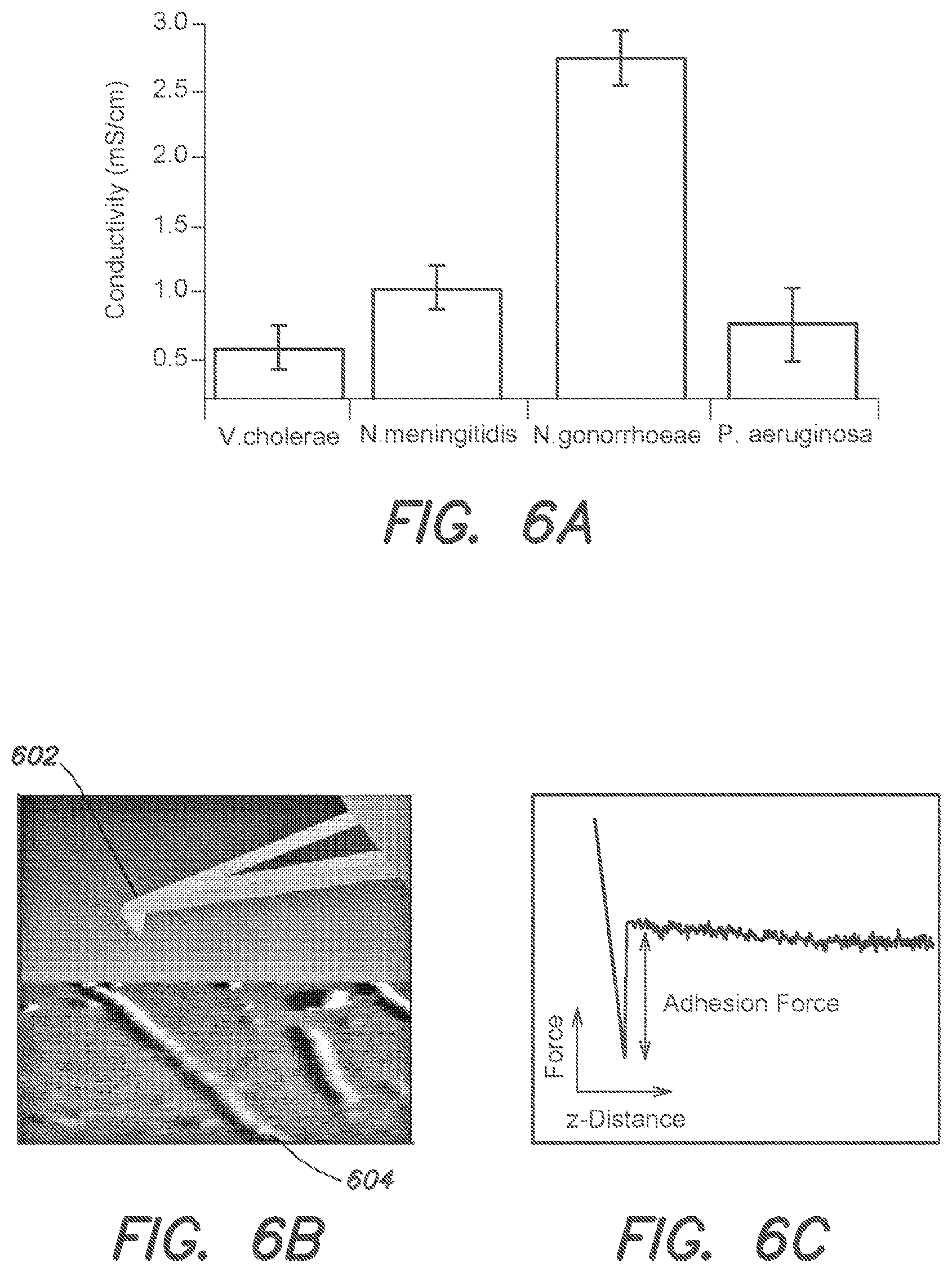 Patent US12612434 Figure 7 – Systems and methods for forming biological nanowires and applications thereof
