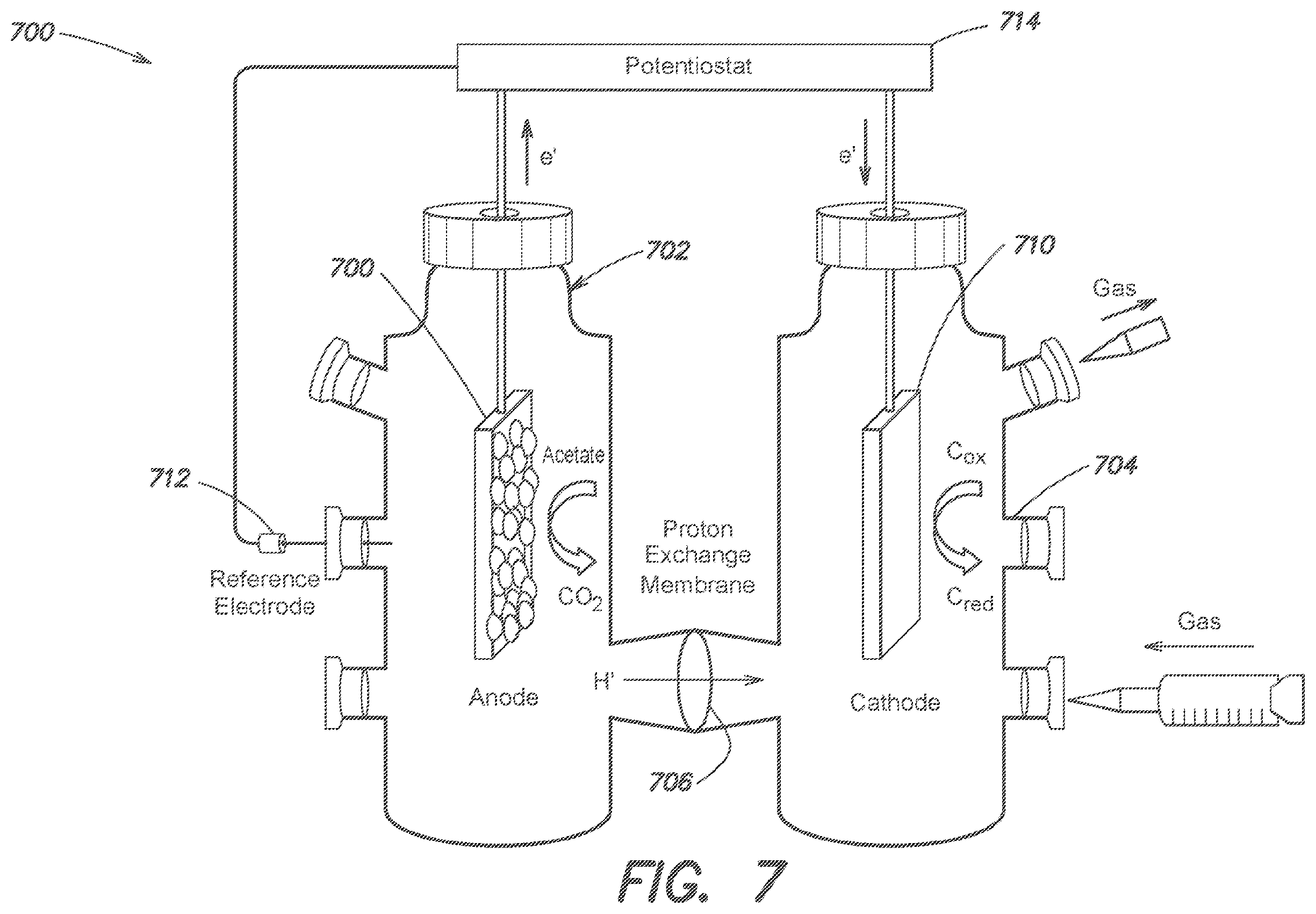 Patent US12612434 Figure 9 – Systems and methods for forming biological nanowires and applications thereof
