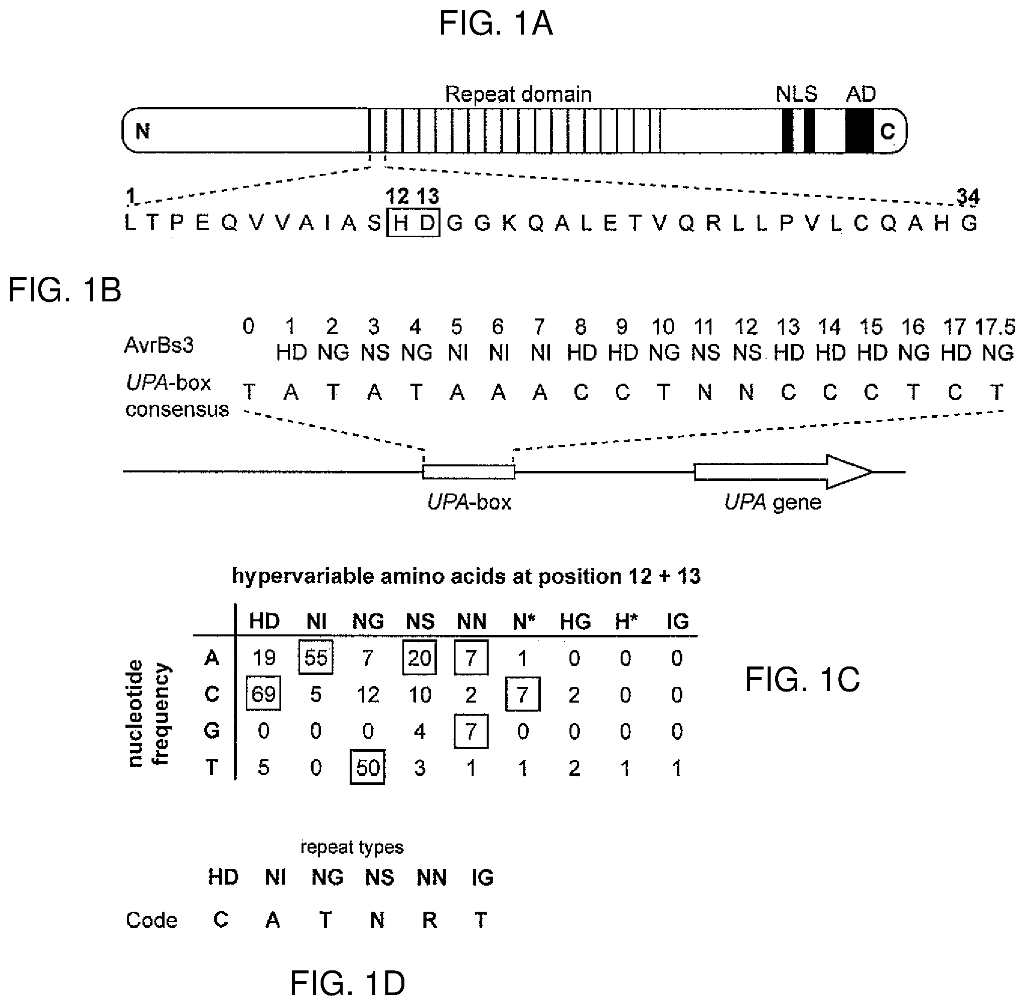 Patent US12612435 Figure 1 – Modular DNA-binding domains and methods of use
