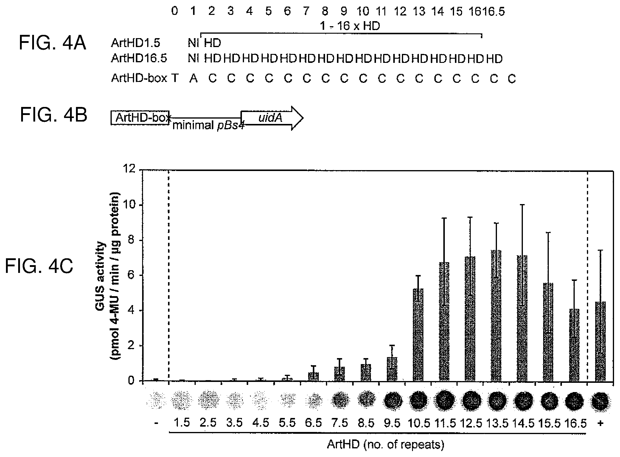 Patent US12612435 Figure 5 – Modular DNA-binding domains and methods of use