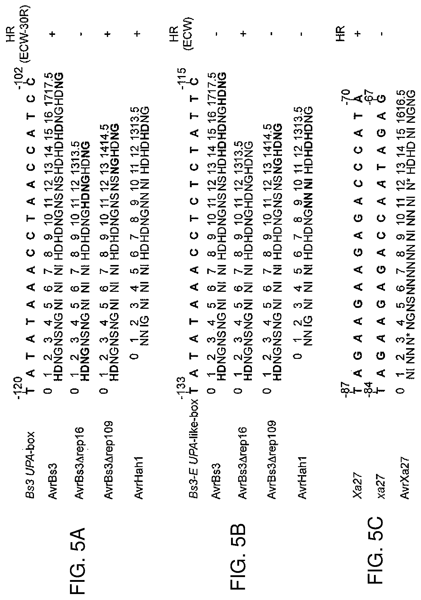 Patent US12612435 Figure 6 – Modular DNA-binding domains and methods of use