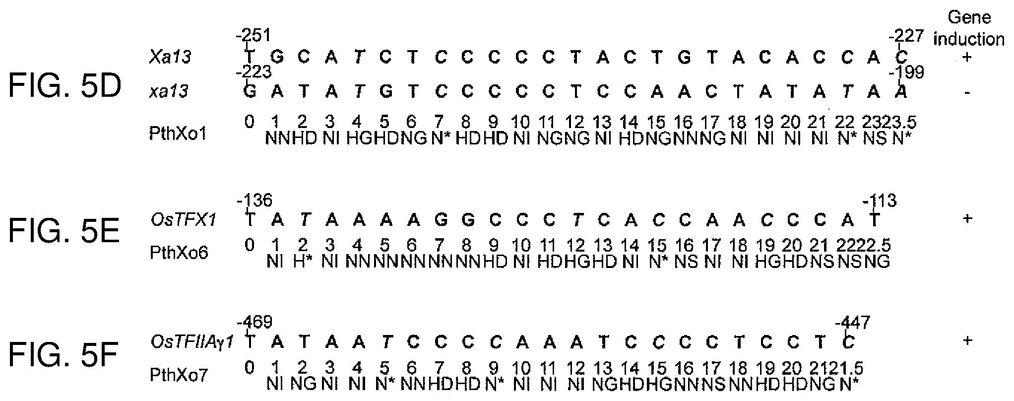 Patent US12612435 Figure 7 – Modular DNA-binding domains and methods of use