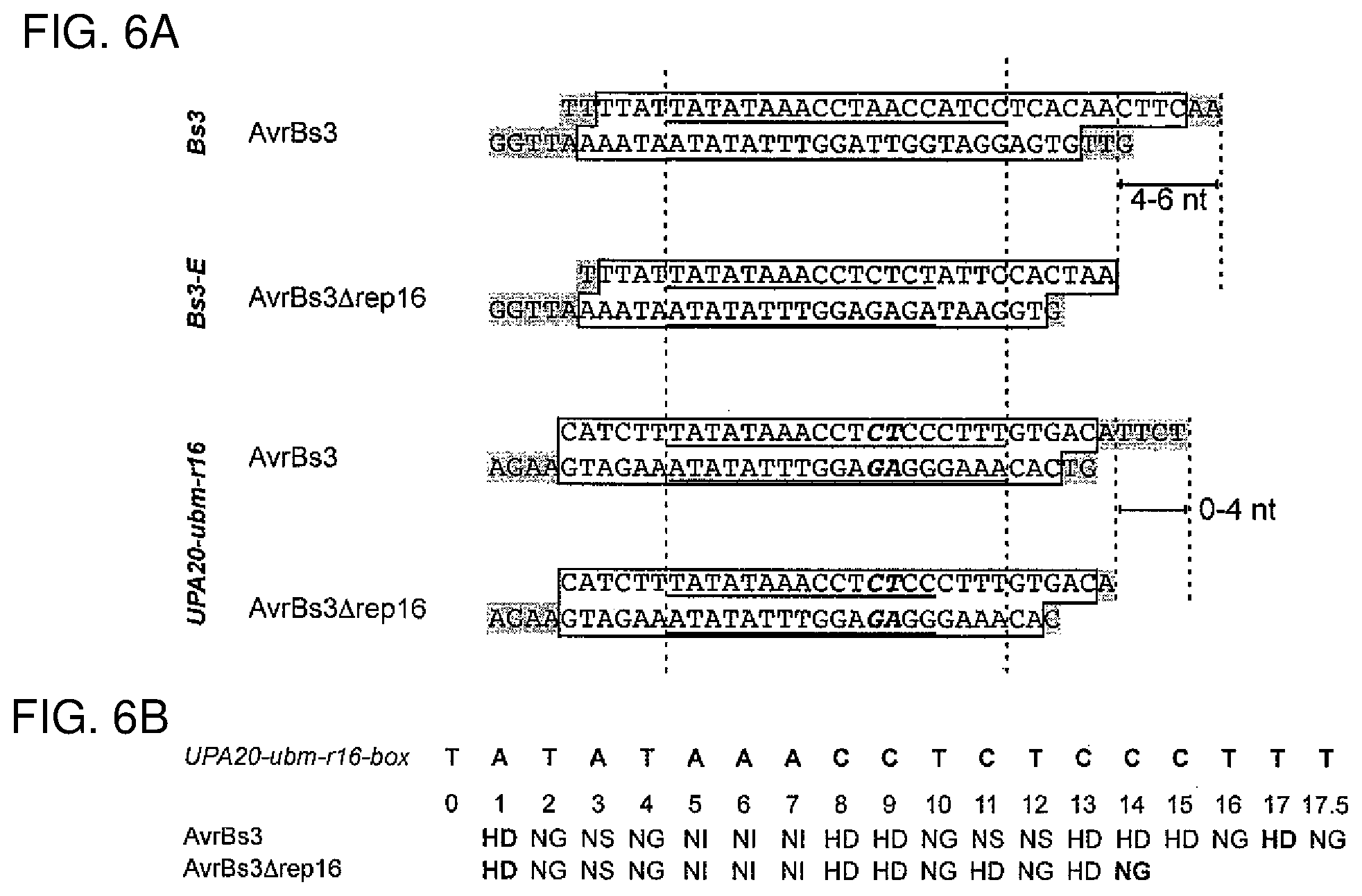 Patent US12612435 Figure 8 – Modular DNA-binding domains and methods of use