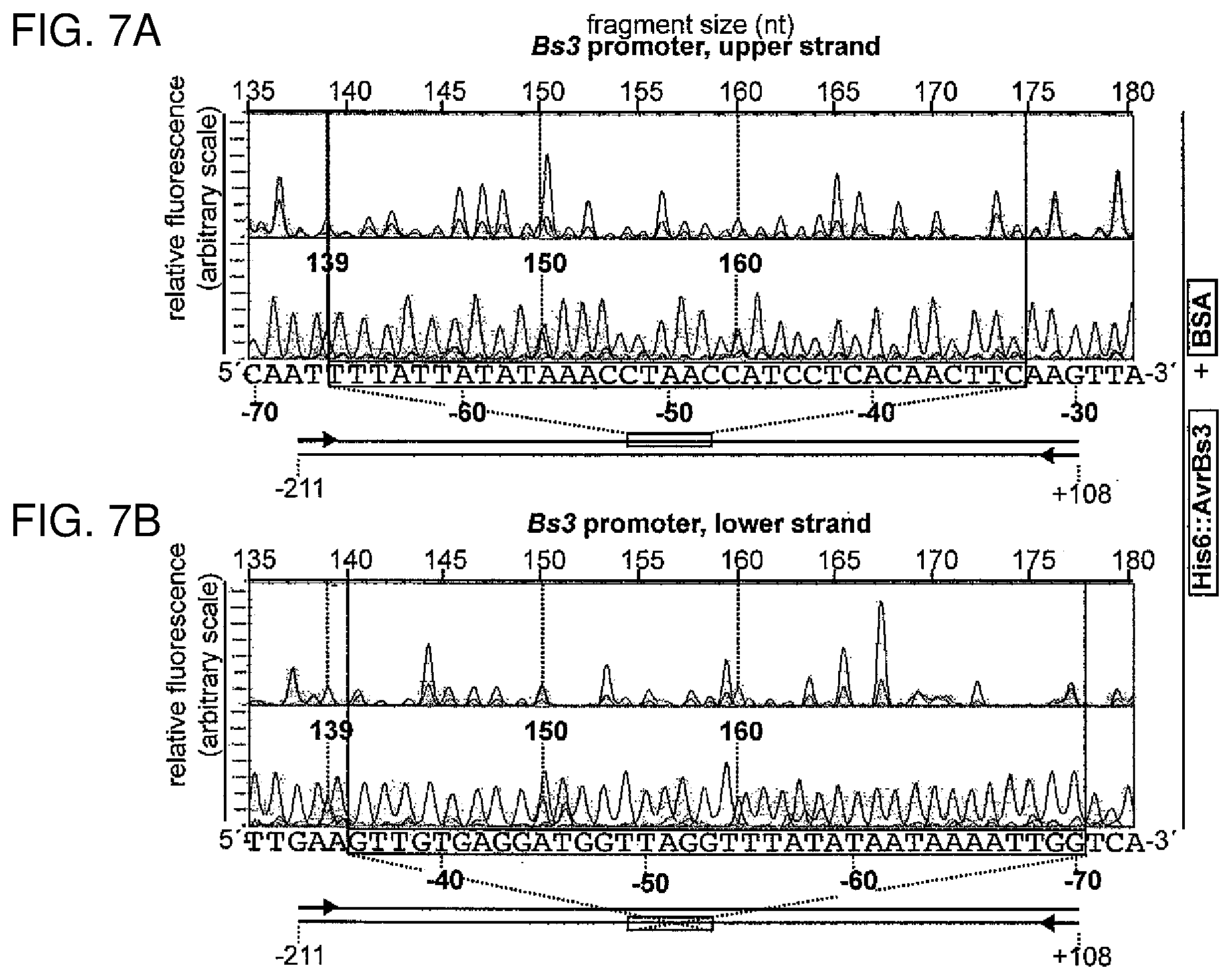 Patent US12612435 Figure 9 – Modular DNA-binding domains and methods of use
