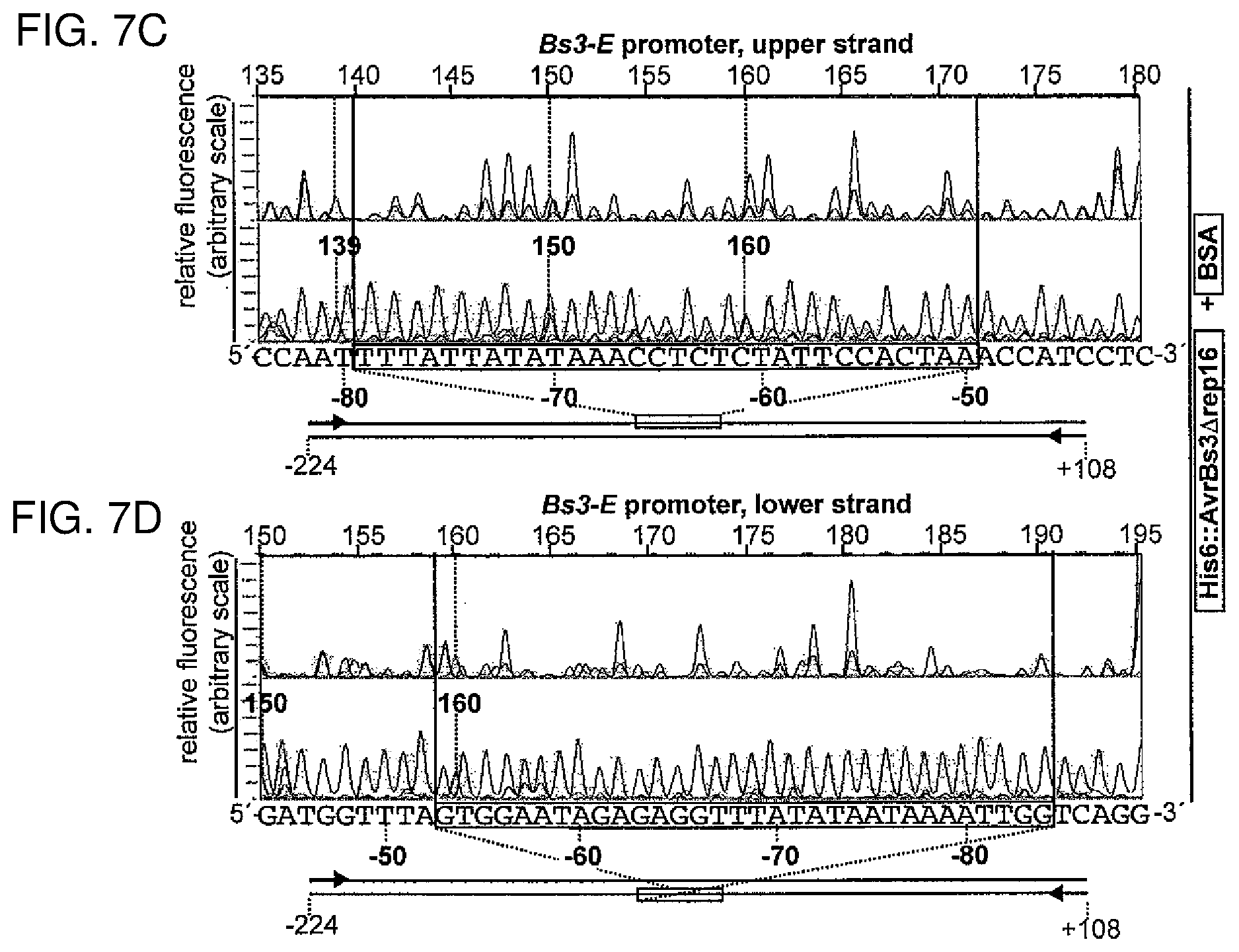 Patent US12612435 Figure 10 – Modular DNA-binding domains and methods of use