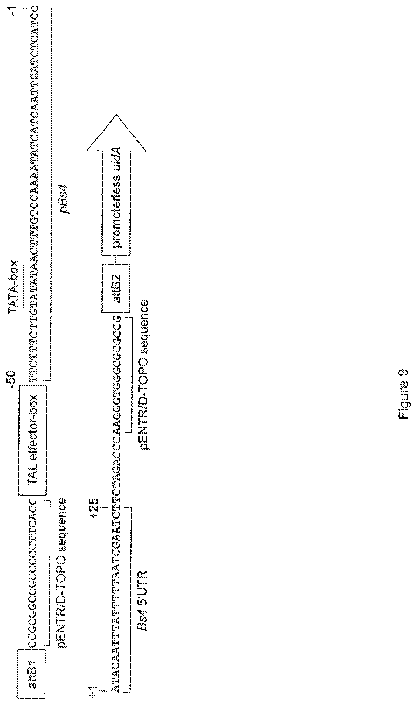 Patent US12612435 Figure 12 – Modular DNA-binding domains and methods of use