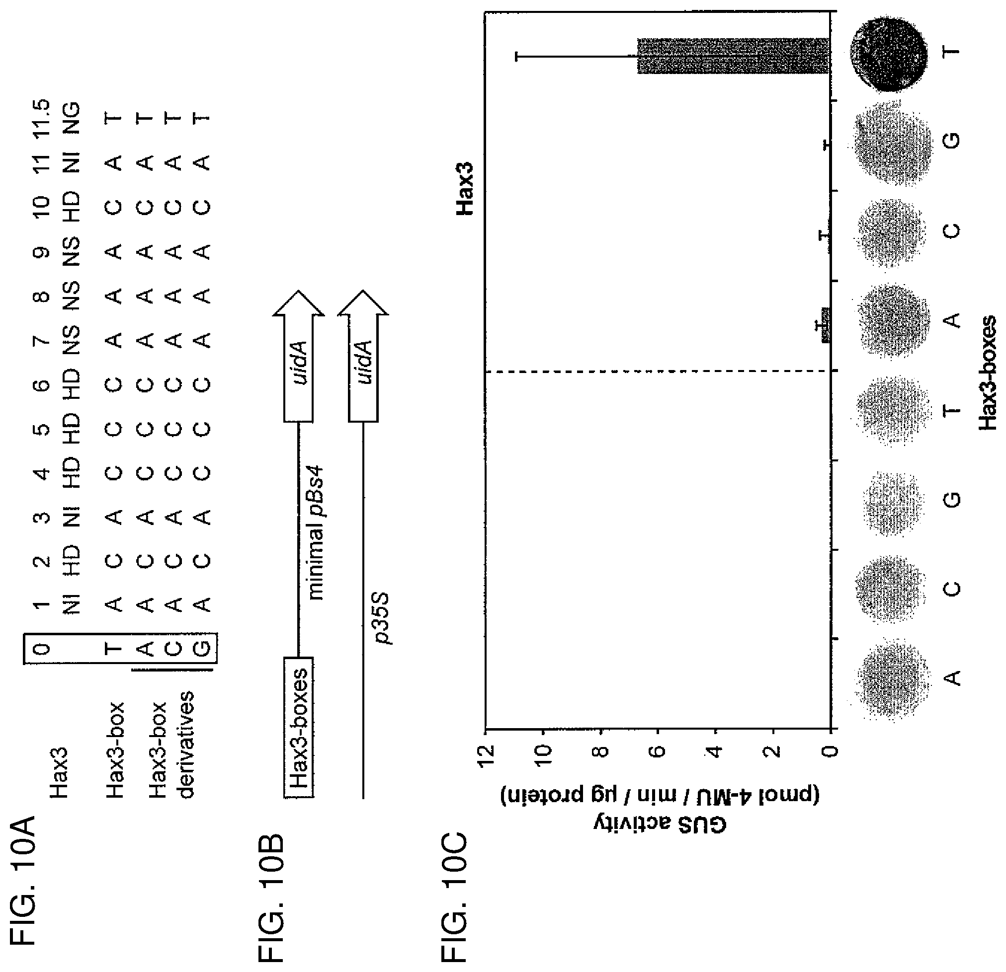 Patent US12612435 Figure 13 – Modular DNA-binding domains and methods of use