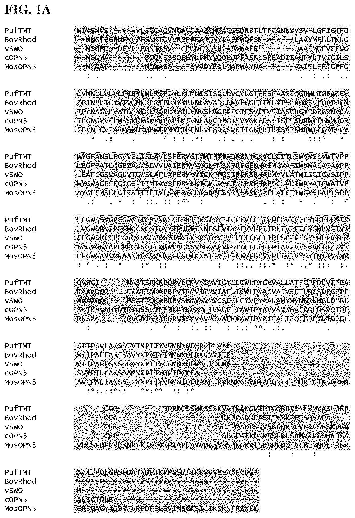 Patent US12612438 Figure 1 – Bistable type II opsins and uses thereof