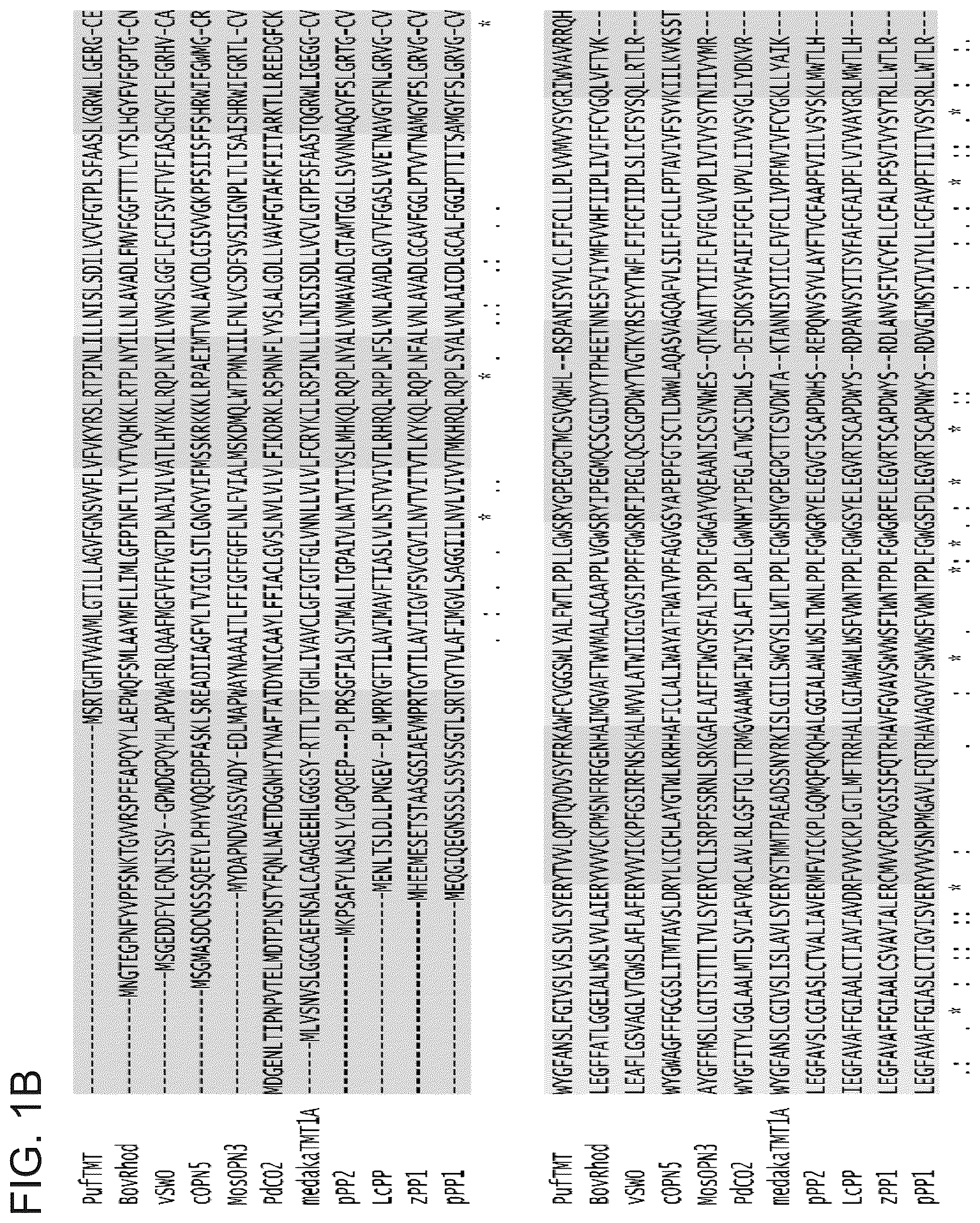 Patent US12612438 Figure 2 – Bistable type II opsins and uses thereof