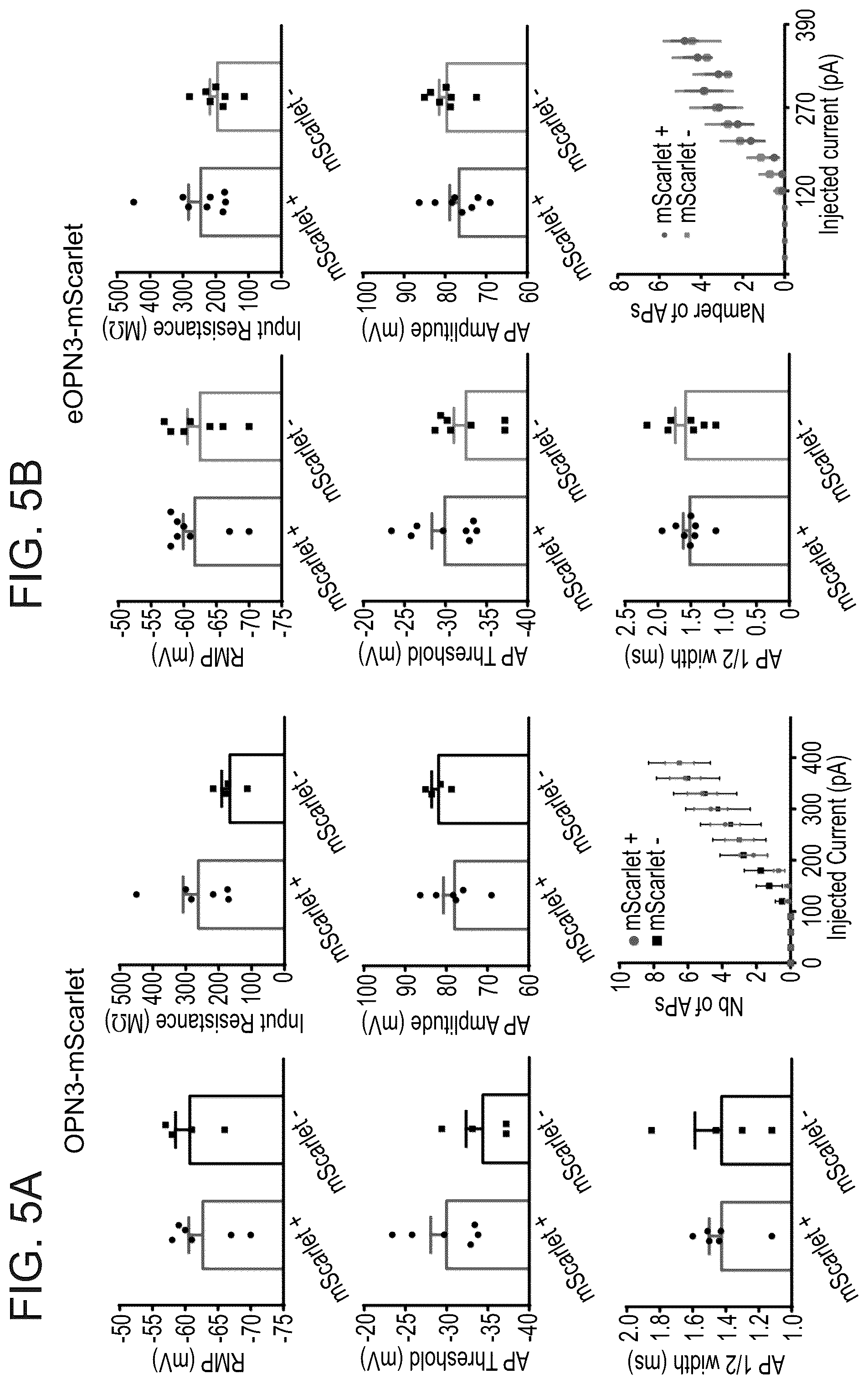 Patent US12612438 Figure 7 – Bistable type II opsins and uses thereof