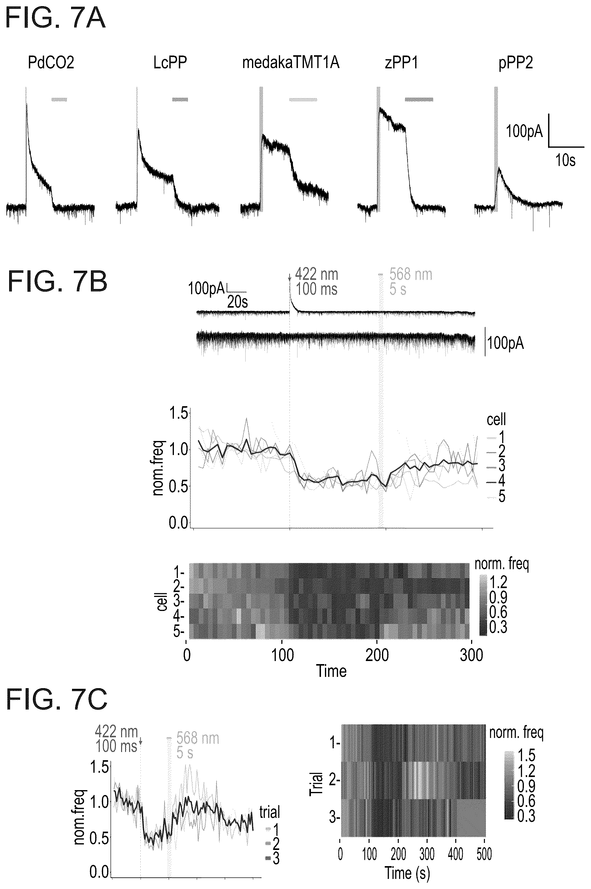 Patent US12612438 Figure 9 – Bistable type II opsins and uses thereof