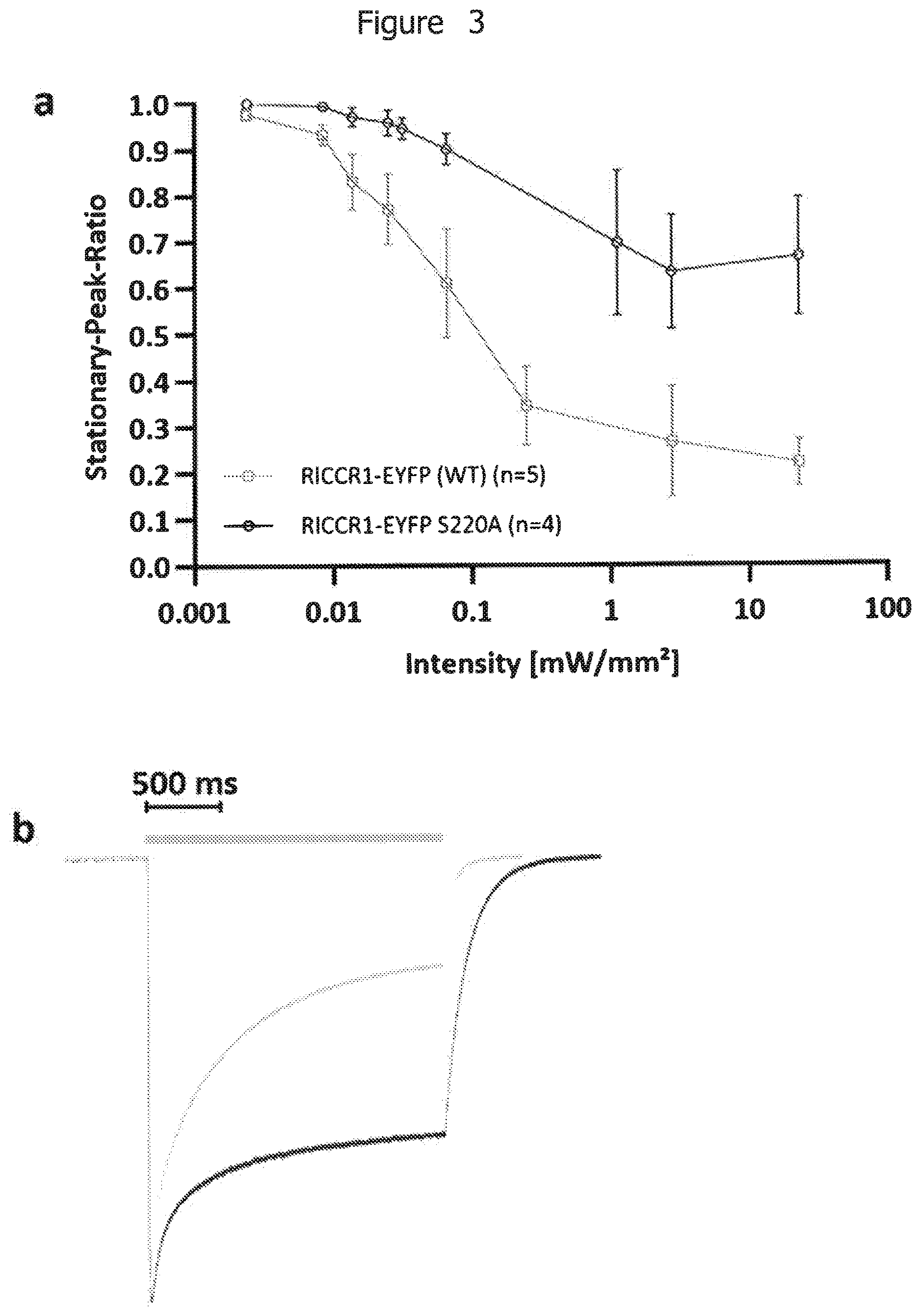 Patent US12612439 Figure 3 – Mutant bacteriorhodopsin-like-channelrhodopsin ion channel