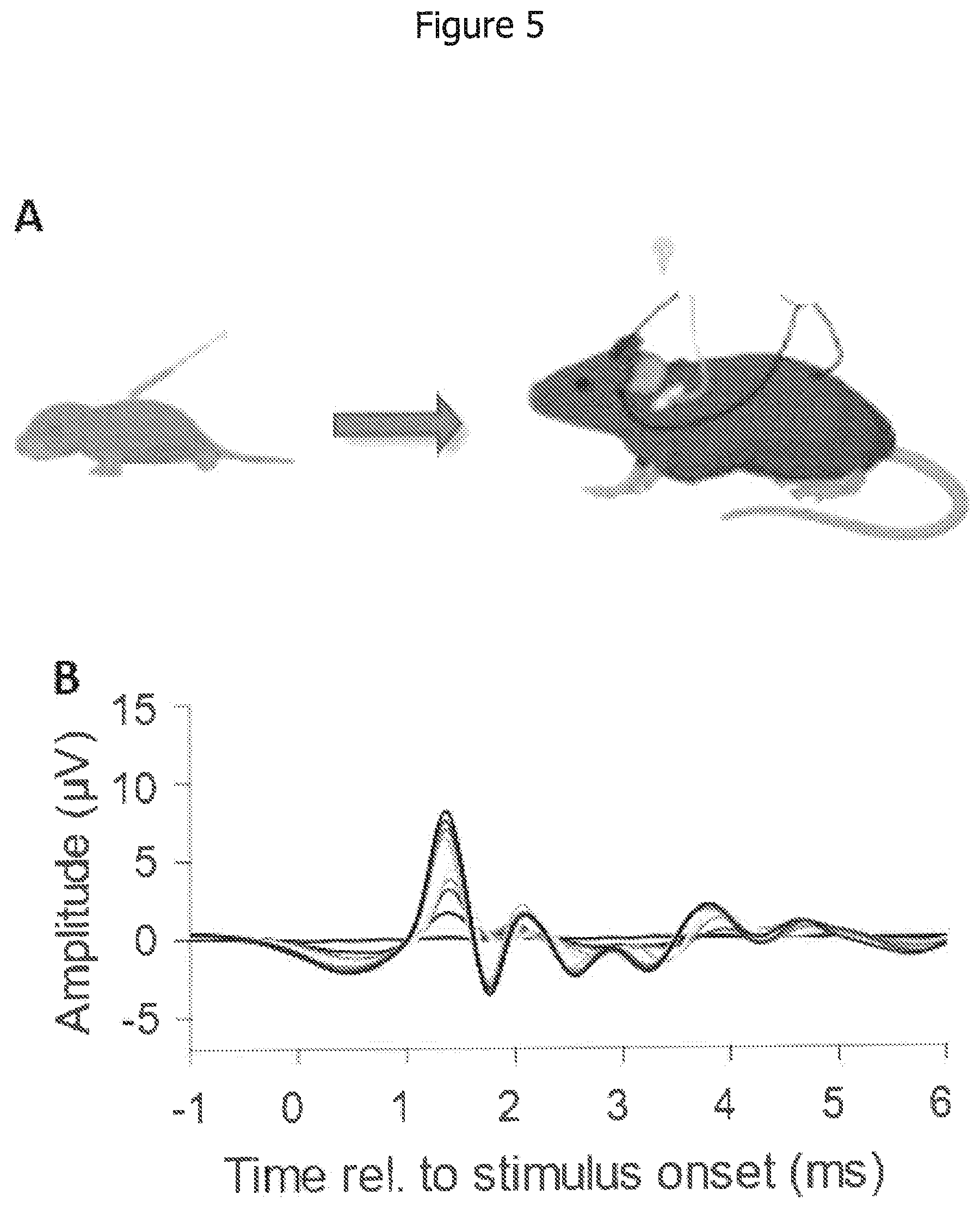 Patent US12612439 Figure 7 – Mutant bacteriorhodopsin-like-channelrhodopsin ion channel