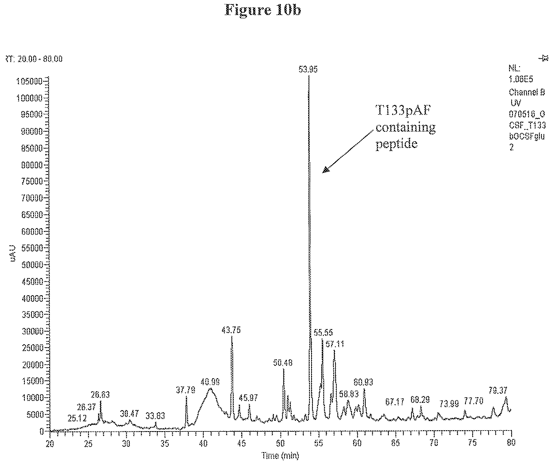 Patent US12612440 Figure 14 – Modified bovine G-CSF polypeptides and their uses