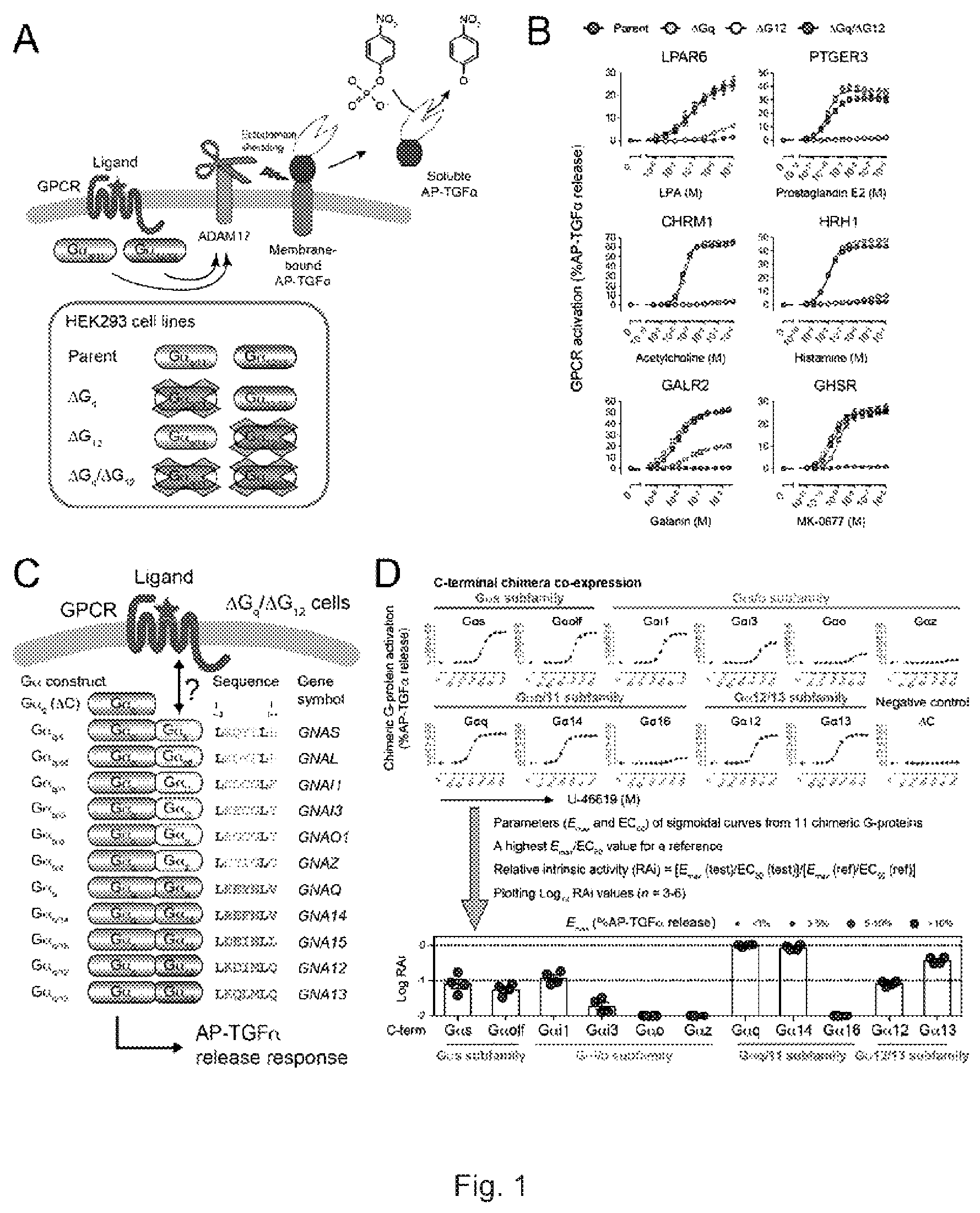 Patent US12612442 Figure 1 – G12-specific designer receptor exclusively activated by designer drugs