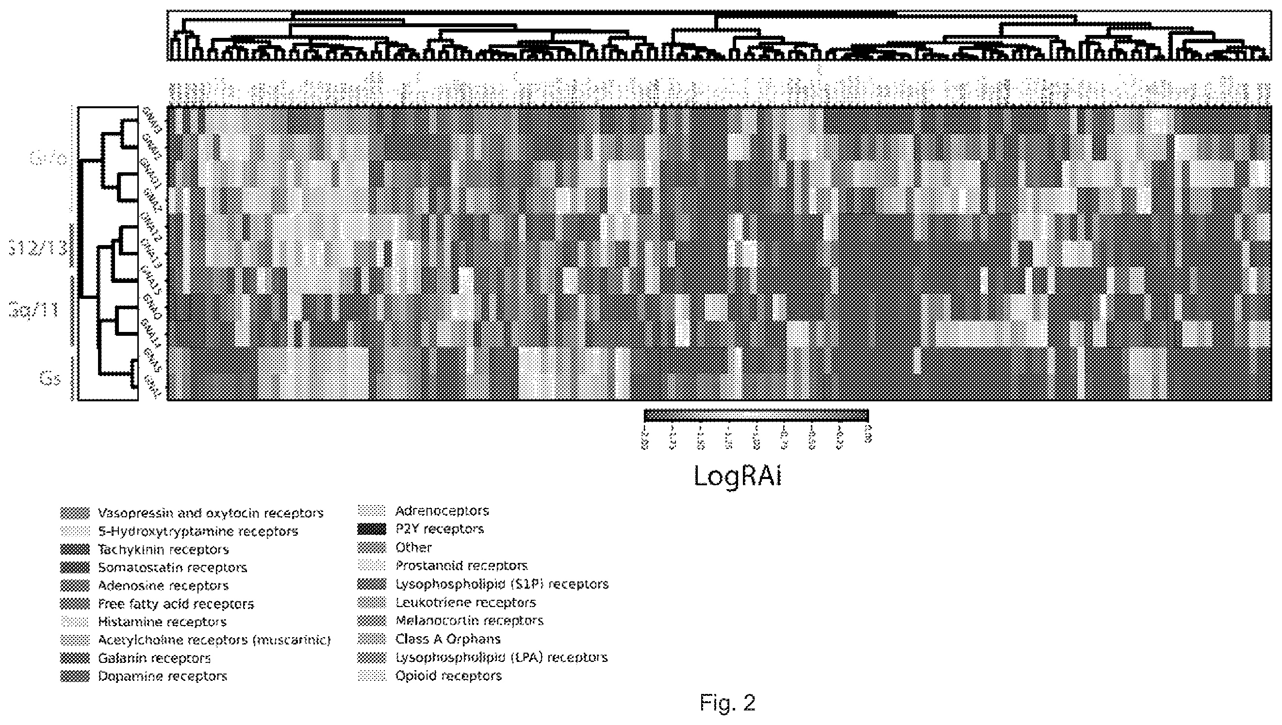 Patent US12612442 Figure 2 – G12-specific designer receptor exclusively activated by designer drugs