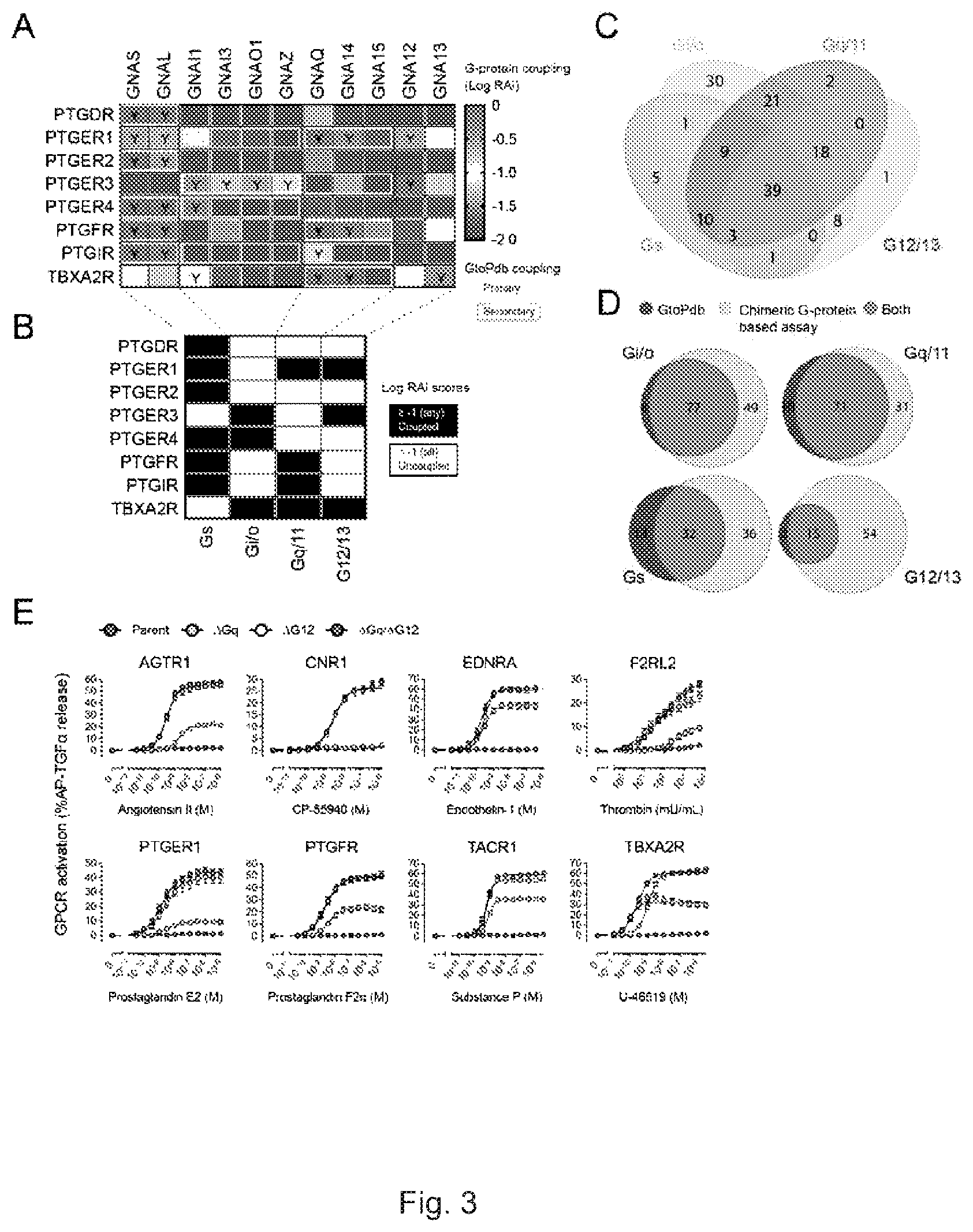 Patent US12612442 Figure 3 – G12-specific designer receptor exclusively activated by designer drugs