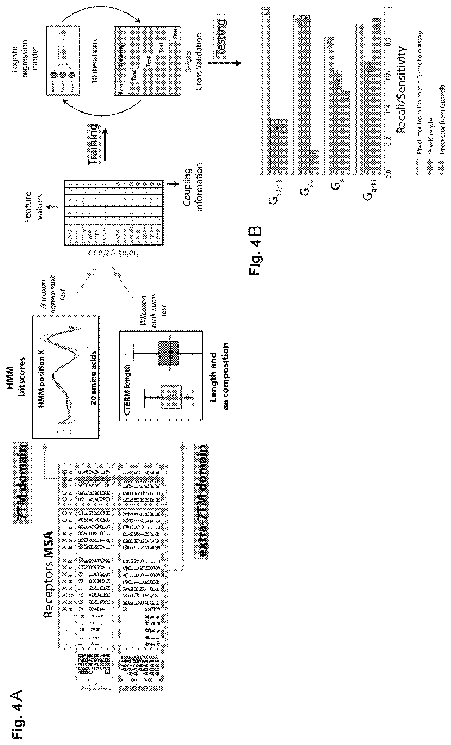 Patent US12612442 Figure 4 – G12-specific designer receptor exclusively activated by designer drugs