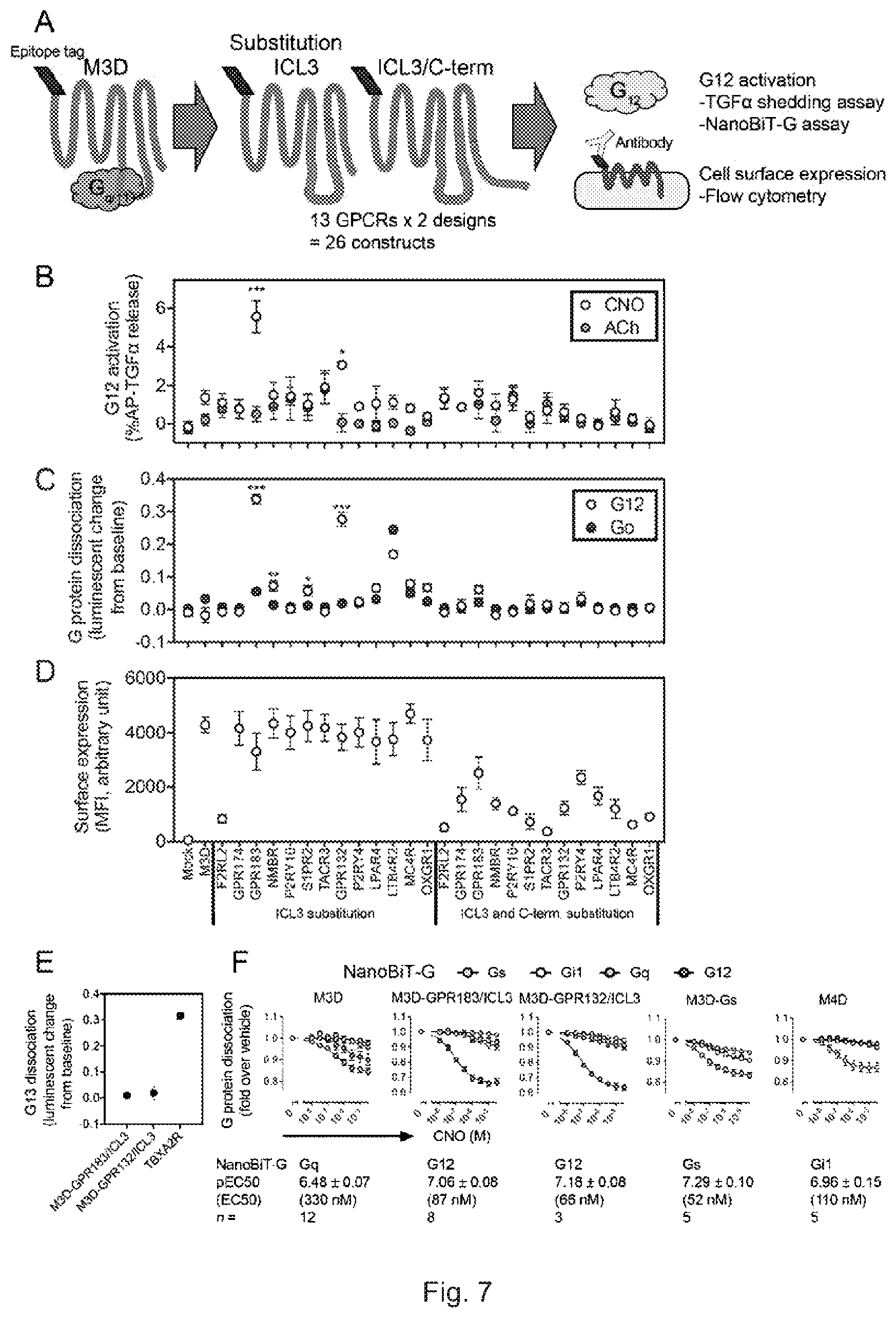 Patent US12612442 Figure 8 – G12-specific designer receptor exclusively activated by designer drugs