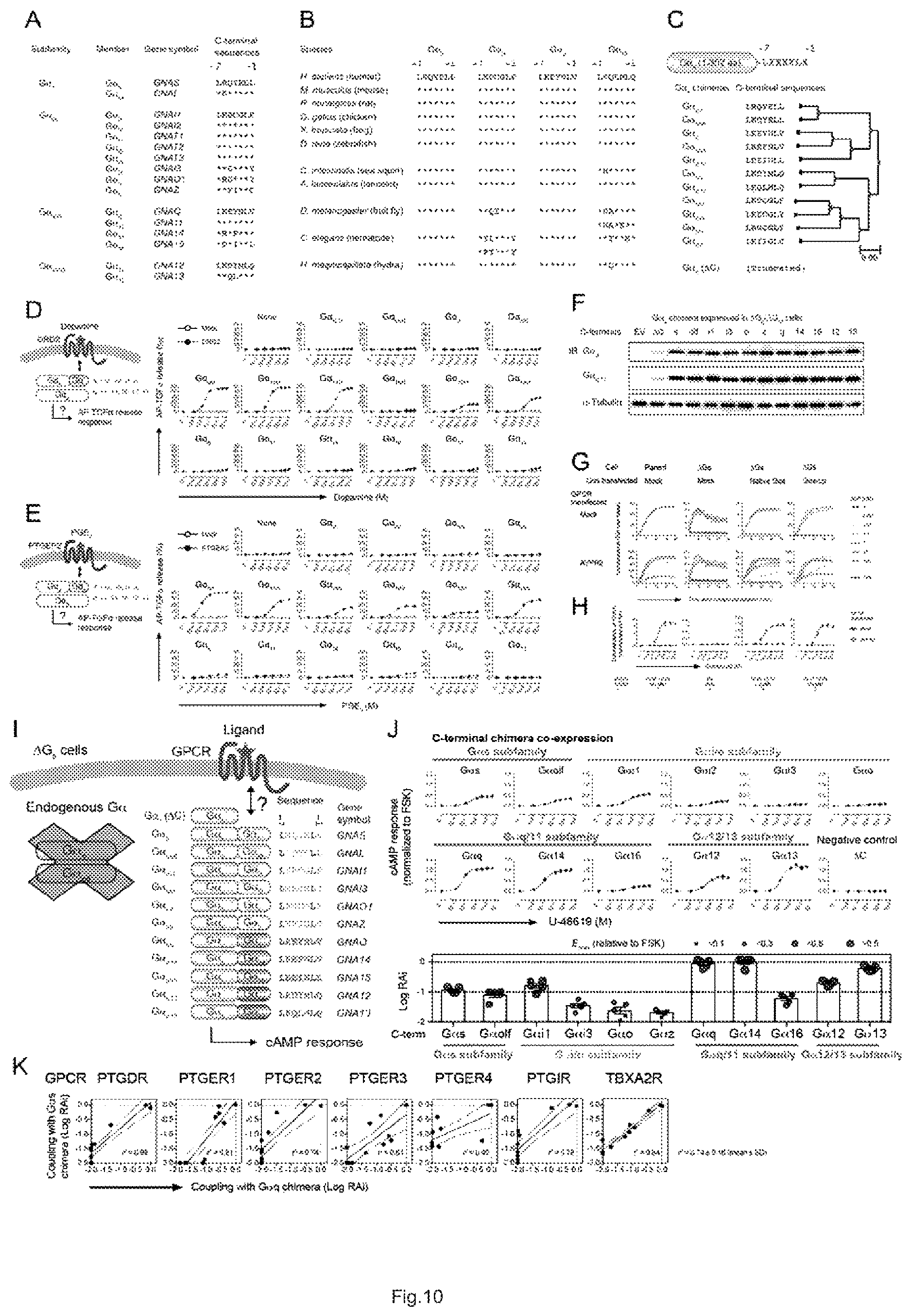 Patent US12612442 Figure 11 – G12-specific designer receptor exclusively activated by designer drugs
