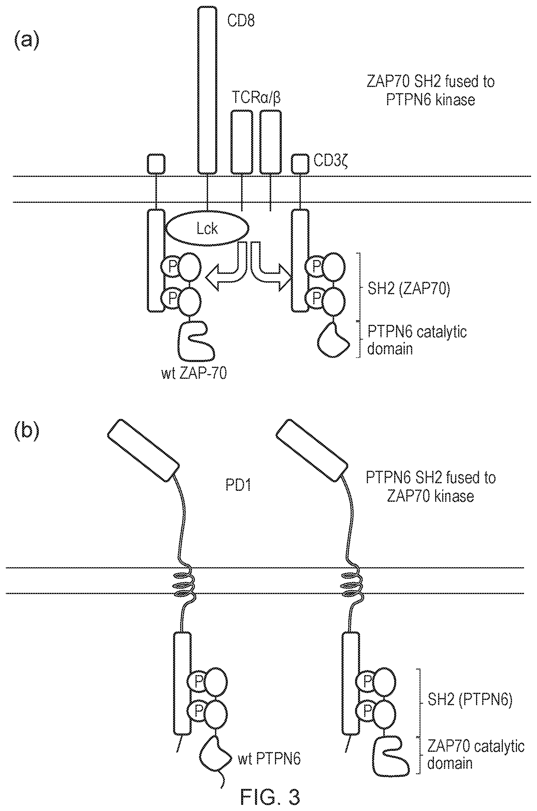Patent US12612443 Figure 3 – Cell