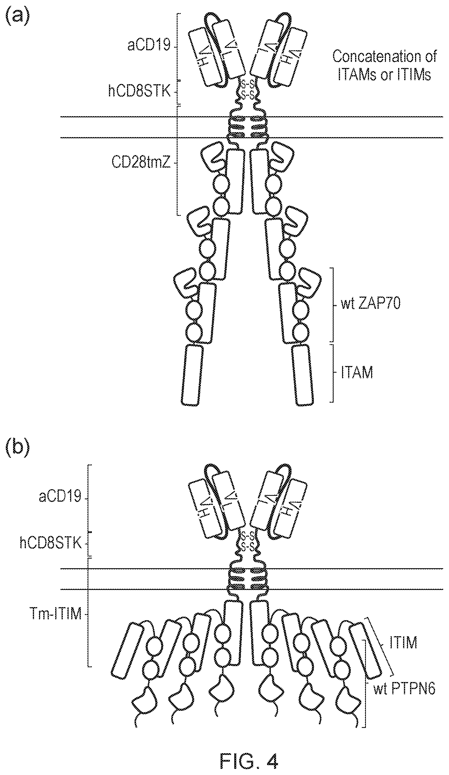 Patent US12612443 Figure 4 – Cell