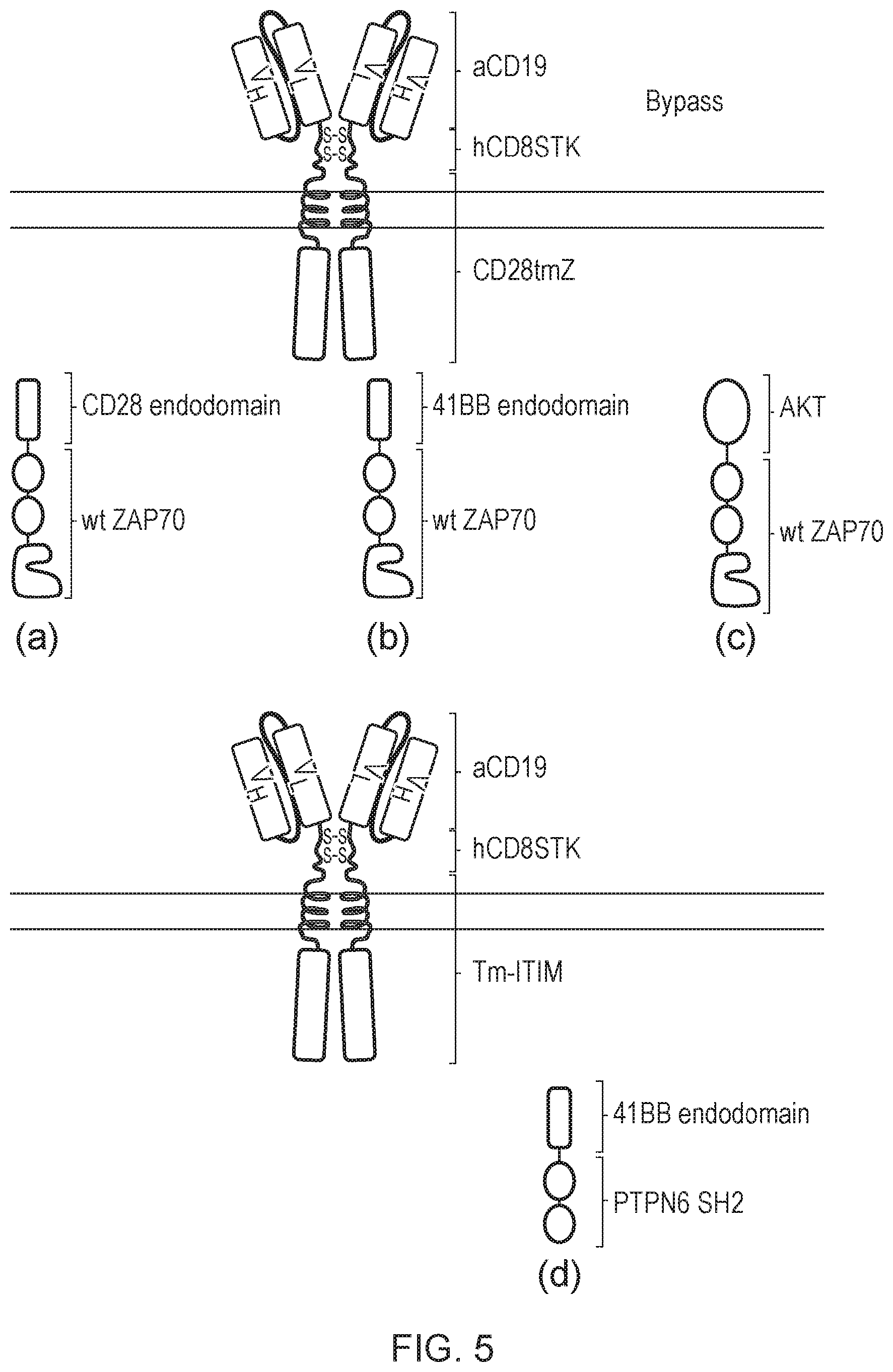 Patent US12612443 Figure 5 – Cell