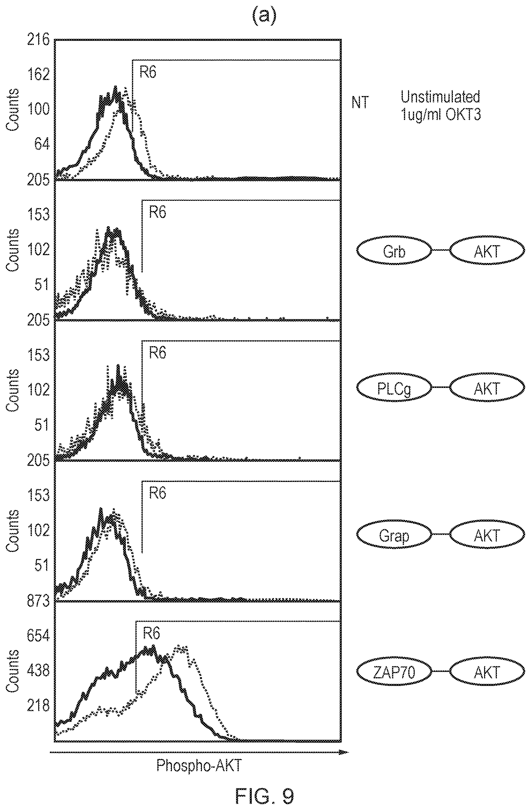 Patent US12612443 Figure 9 – Cell