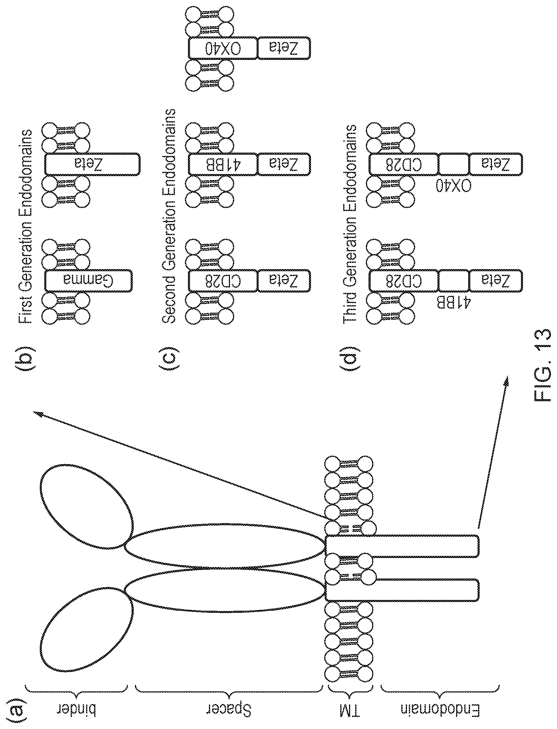 Patent US12612443 Figure 14 – Cell