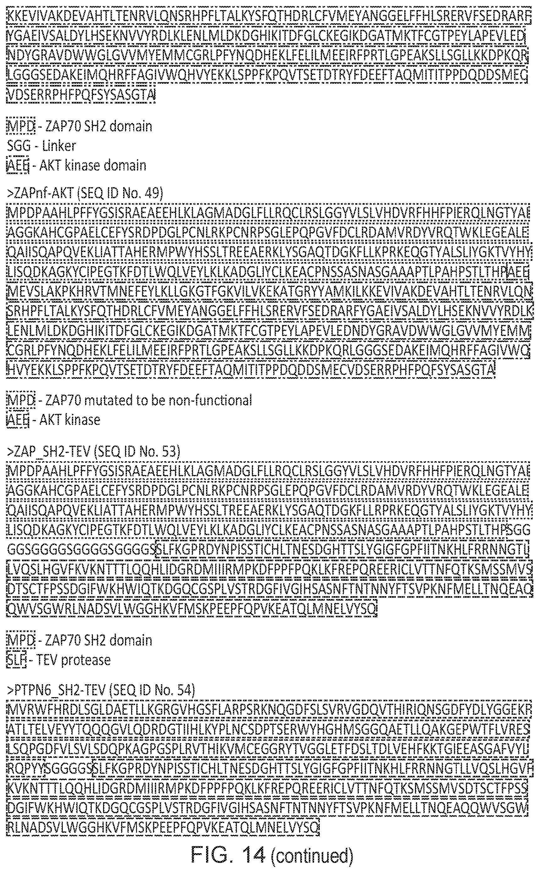 Patent US12612443 Figure 19 – Cell