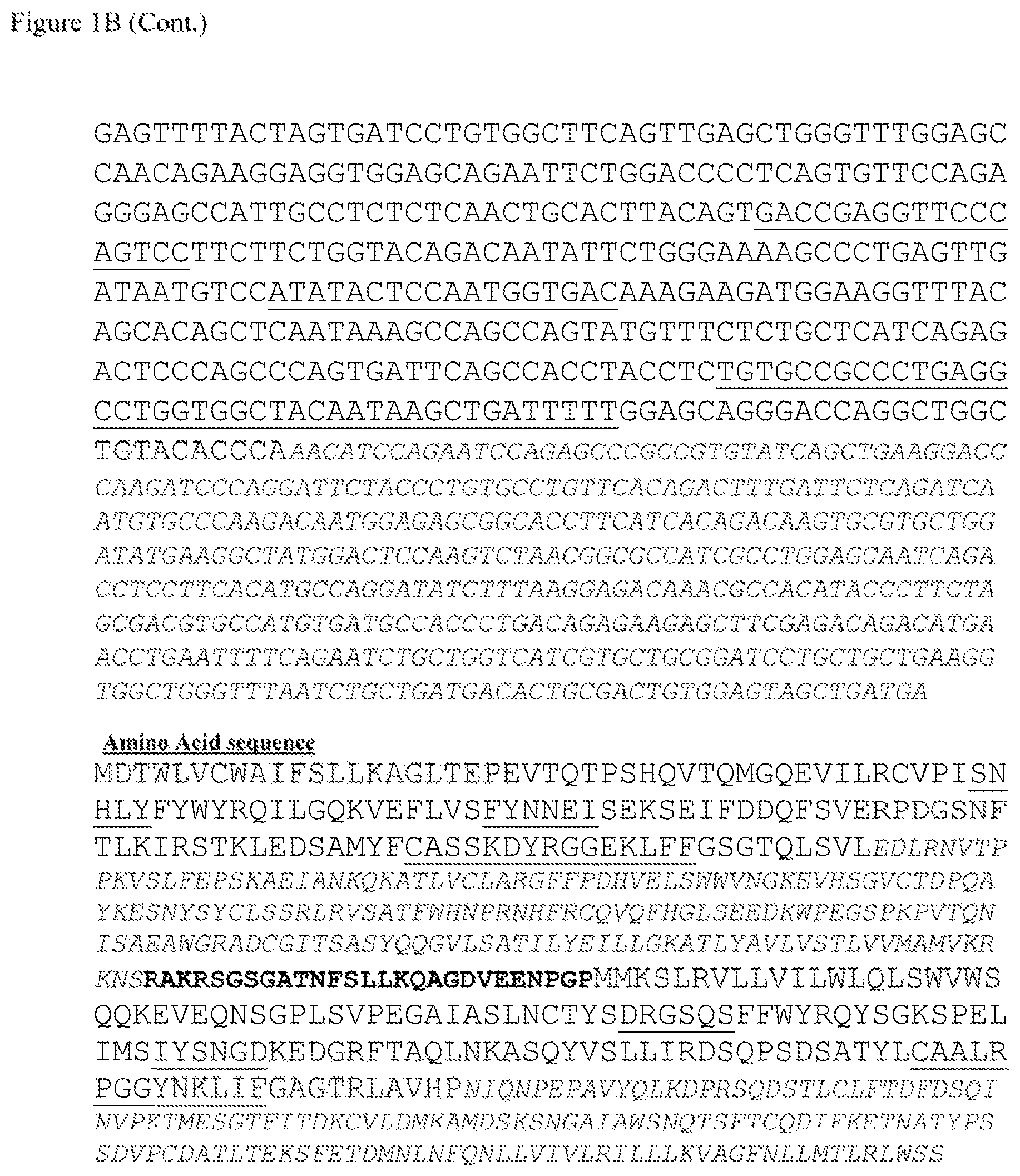 Patent US12612444 Figure 2 – T cell receptors targeting mutations in RNA splicing factors