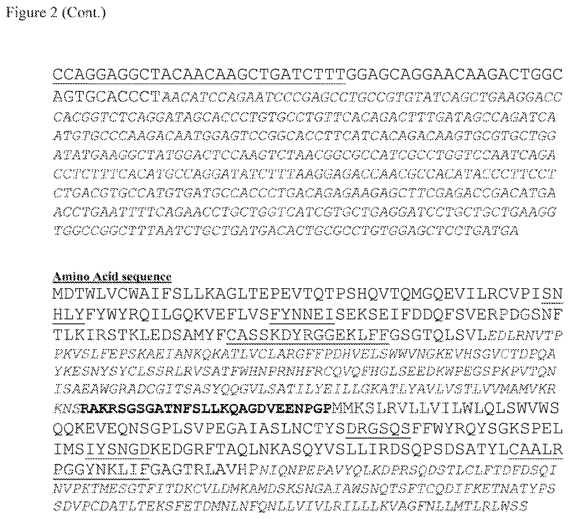 Patent US12612444 Figure 4 – T cell receptors targeting mutations in RNA splicing factors